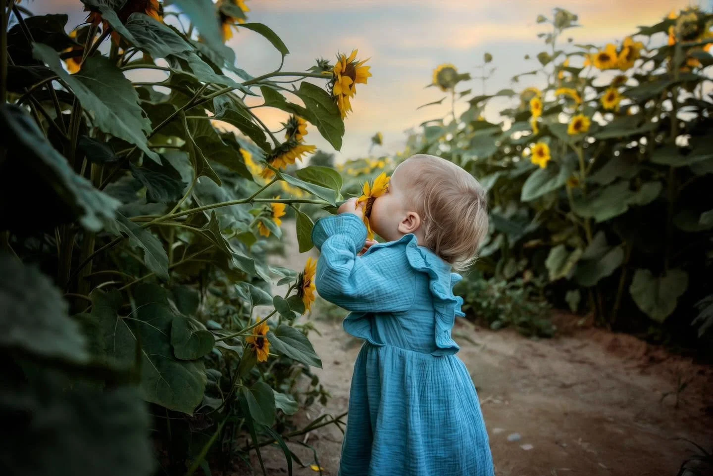 Photography_Little Girl Smells Sunflower_Ankley Farms.jpg