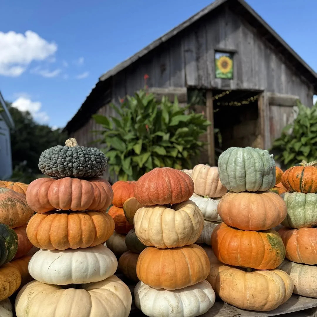 Stacked Pumpkins_Ankley Farms.jpg