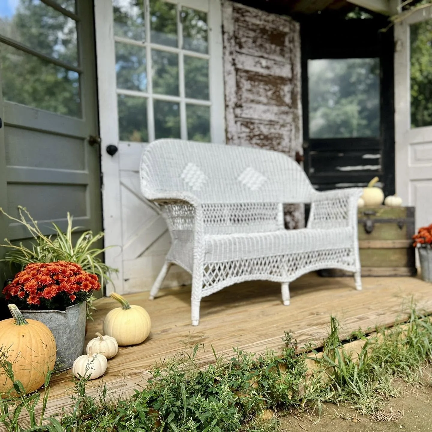Photography_Exterior_Prop_Fall-Ankley Farms.jpg
