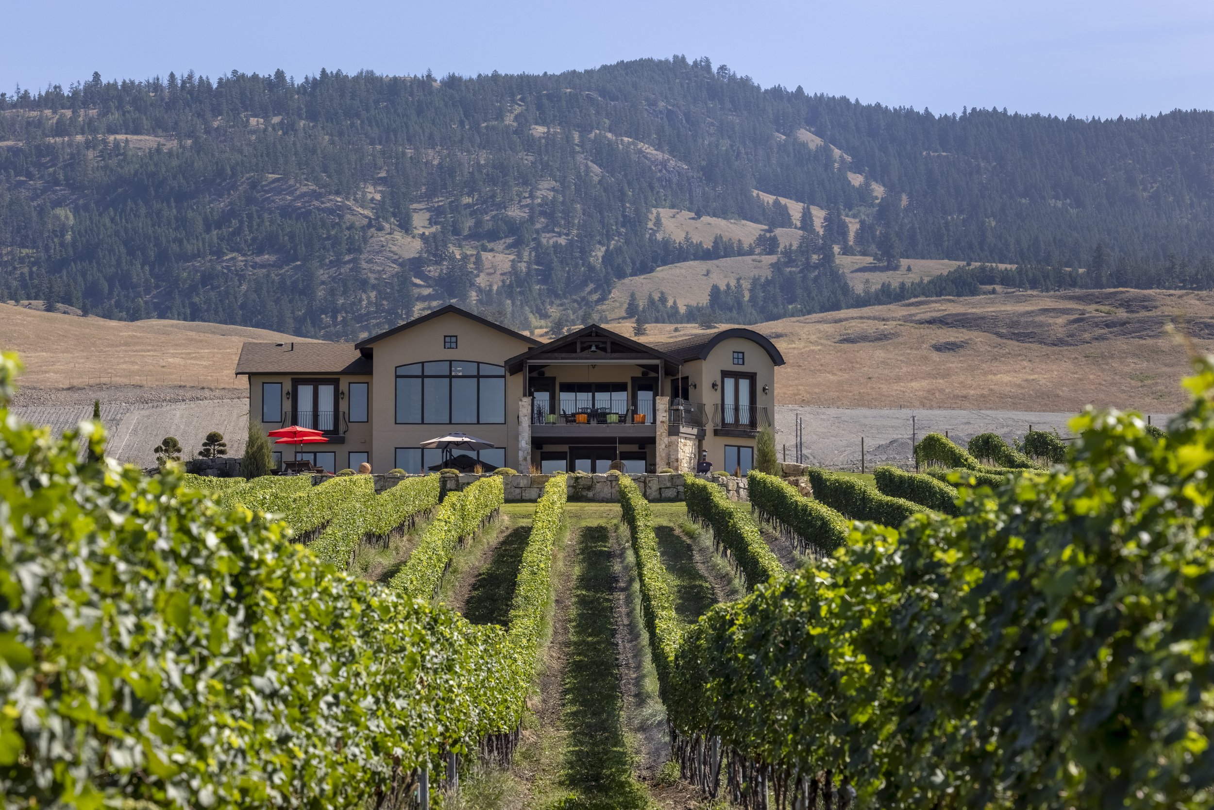 A vineyard with green grapevines arranged in rows, leading to a house with a patio, on a backdrop of hills and forested mountains under a clear sky.