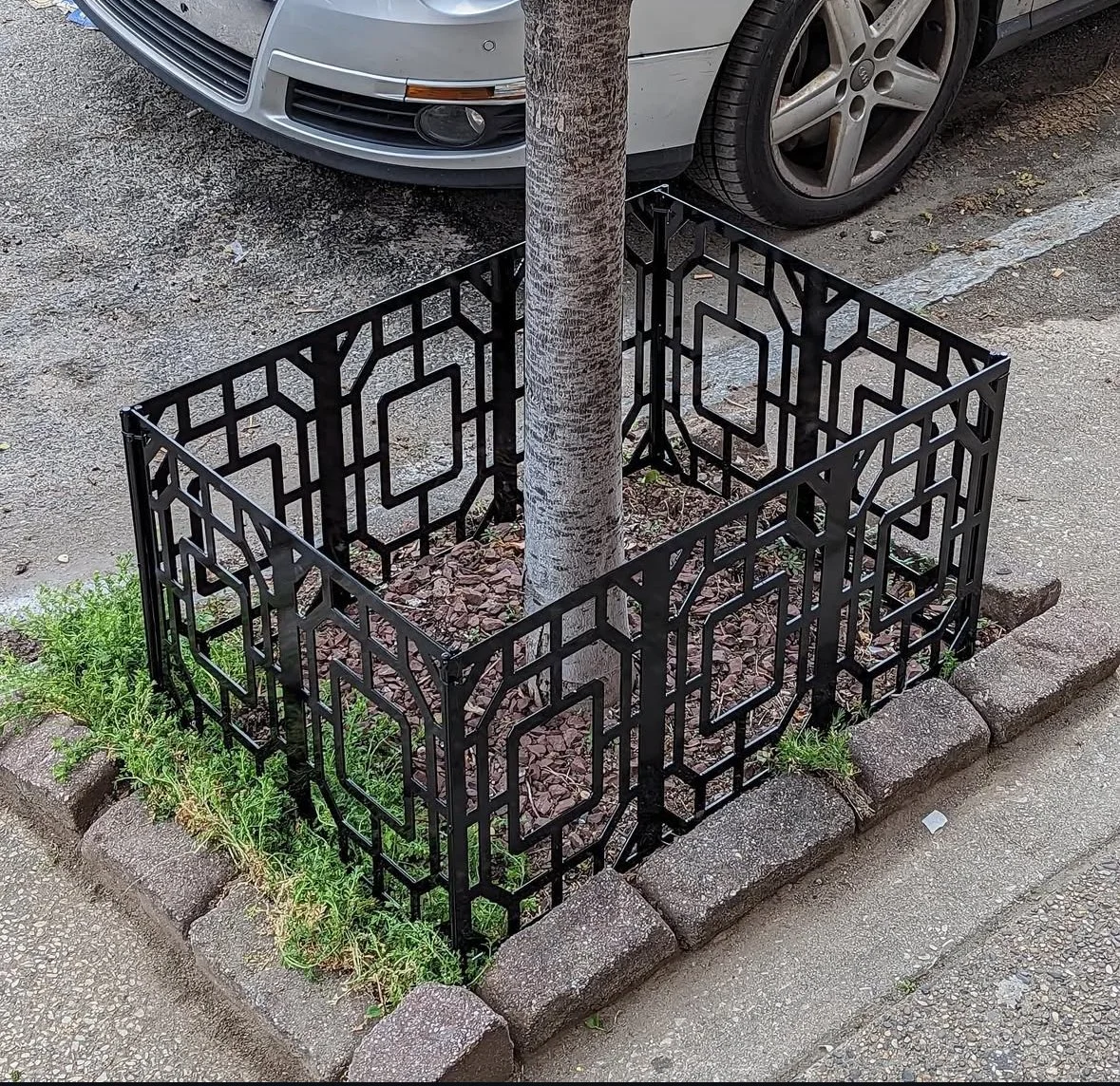 A tree surrounded by a decorative black metal fence in a parking lot with a silver car parked nearby.