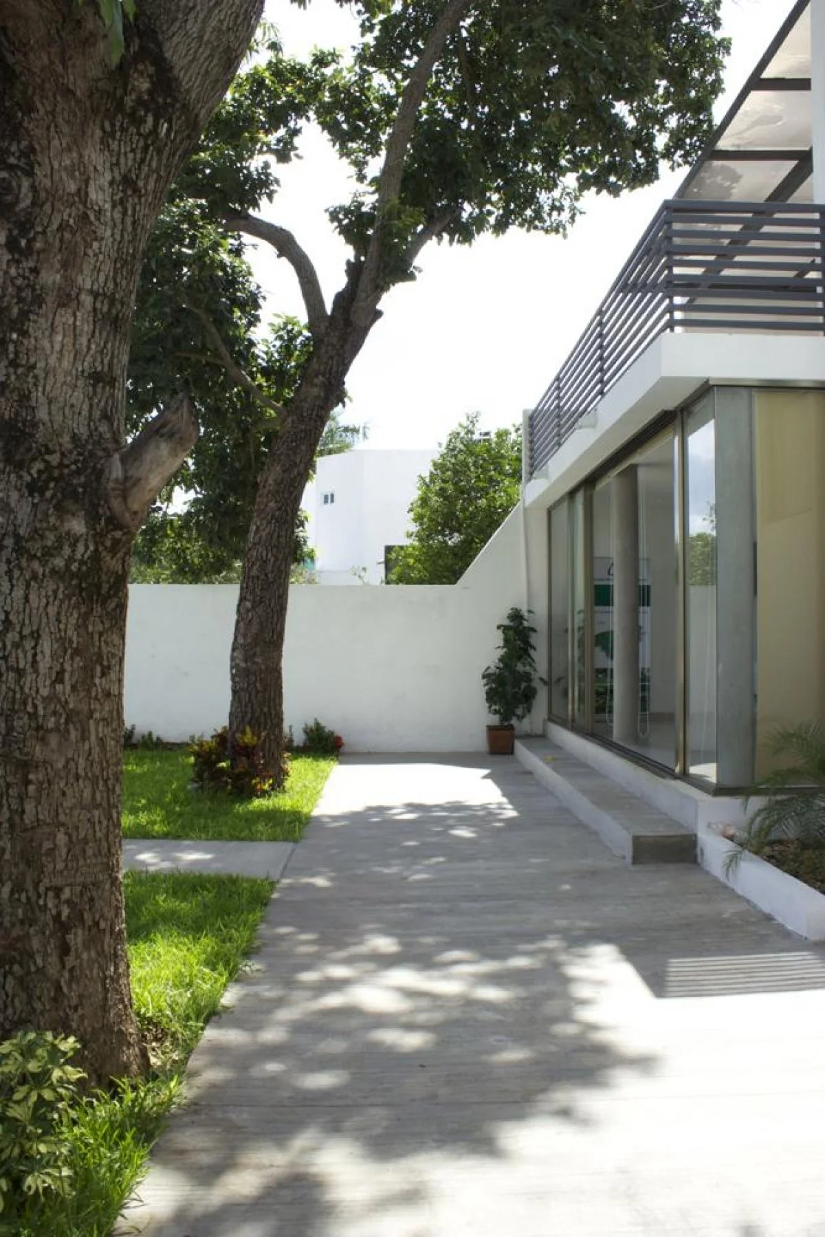 oficinas-grupo-porcicola-de-yucatan4.jpg