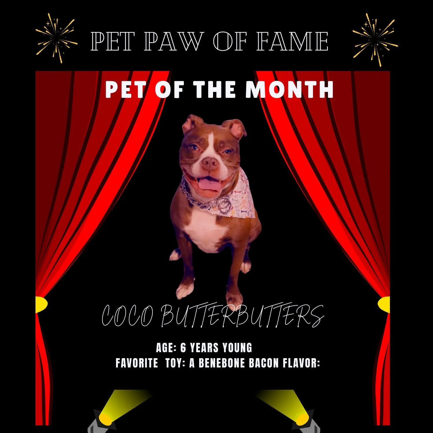 Arden Parks Pet of the month.... Ms. Coco! We love seeing Coco every day. &hearts;🐾

We want to see your fur babies! Please submit your pet's picture to ARP@VillageGreen.com to show off your animals. They will appear in Arden Park's monthly Pet Paw 