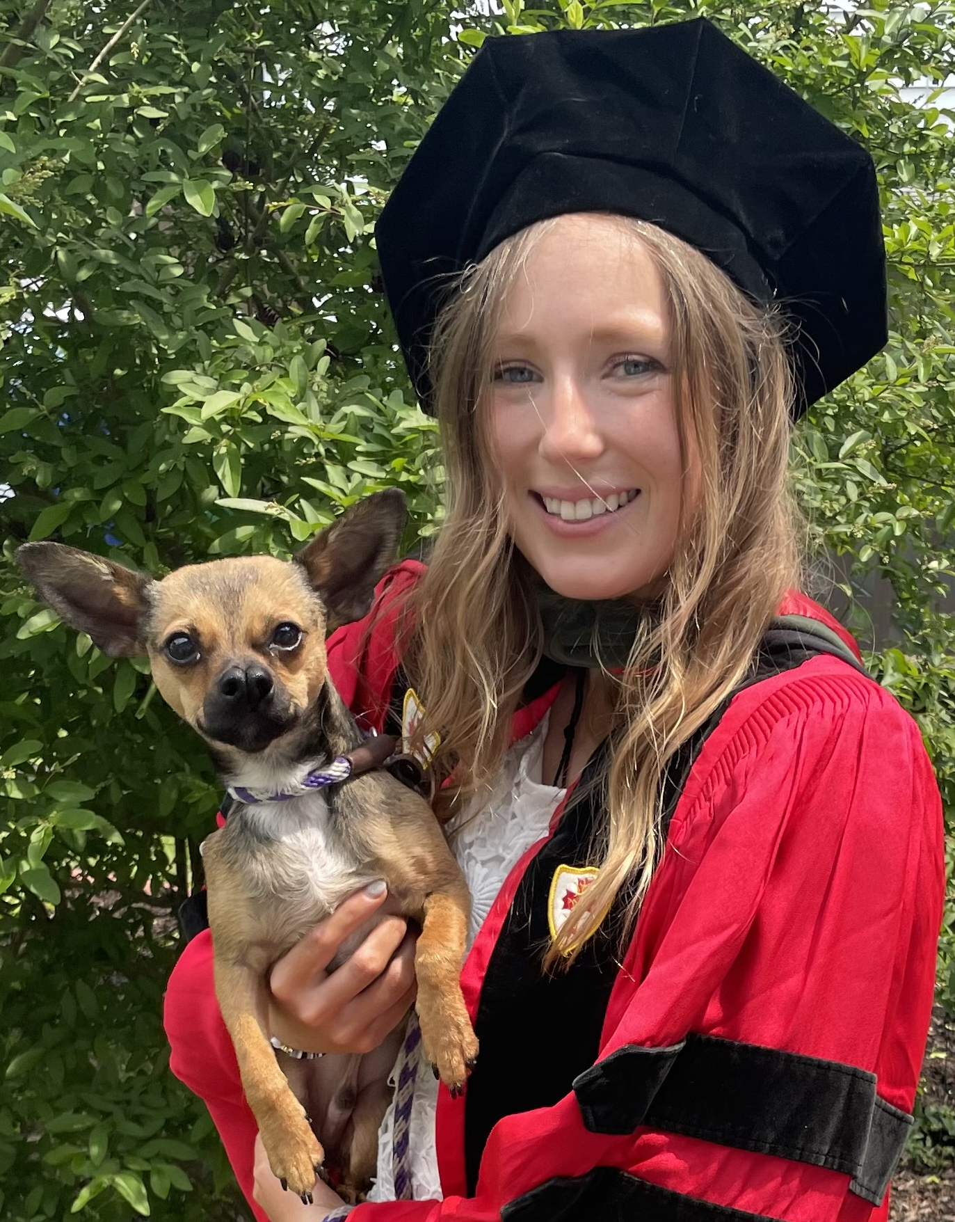 A young woman with long blonde hair, wearing a black cap and a red jacket, smiling while holding a small tan and black Chihuahua dog with large ears and a purple collar, outdoors with green leafy bushes in the background.