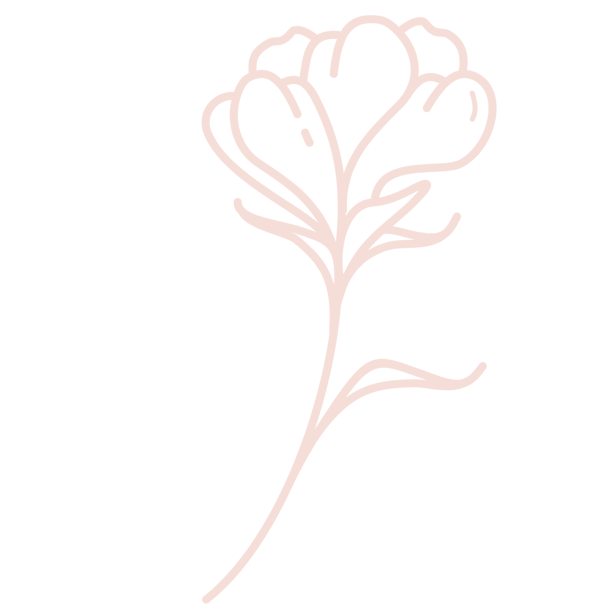 A minimalist line drawing of a flower with multiple petals and a long stem on a black background.