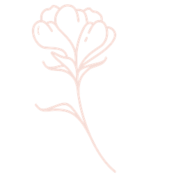 Outline drawing of a flower with heart-shaped petals and a single leaf.