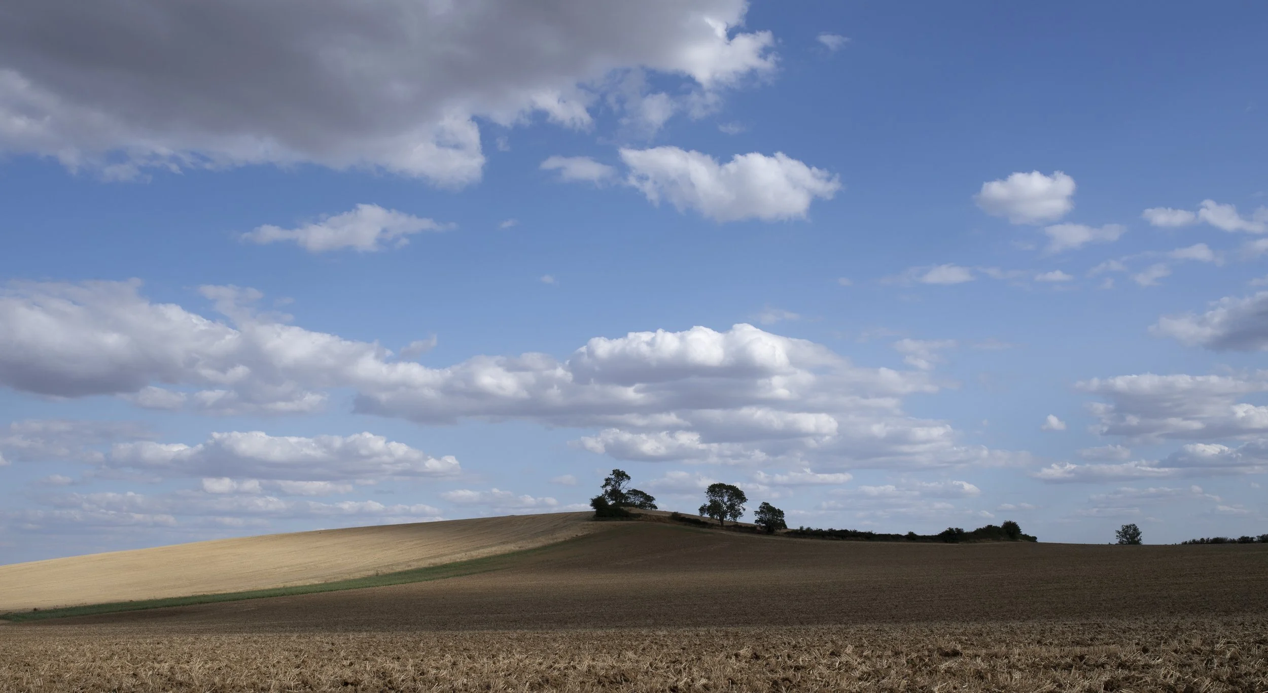 Rolling undulations close to Seaton