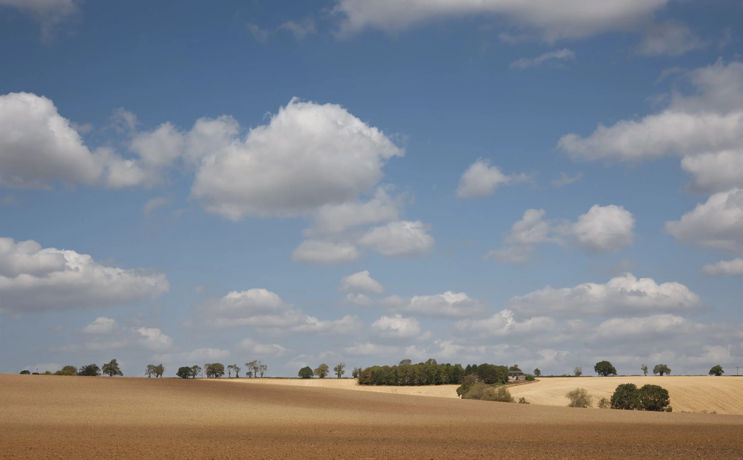 Fieldscape near Ridlington 
