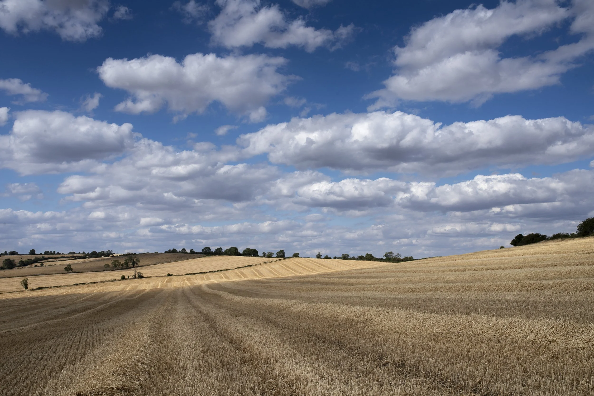 Recently harvested field Stoke Dry