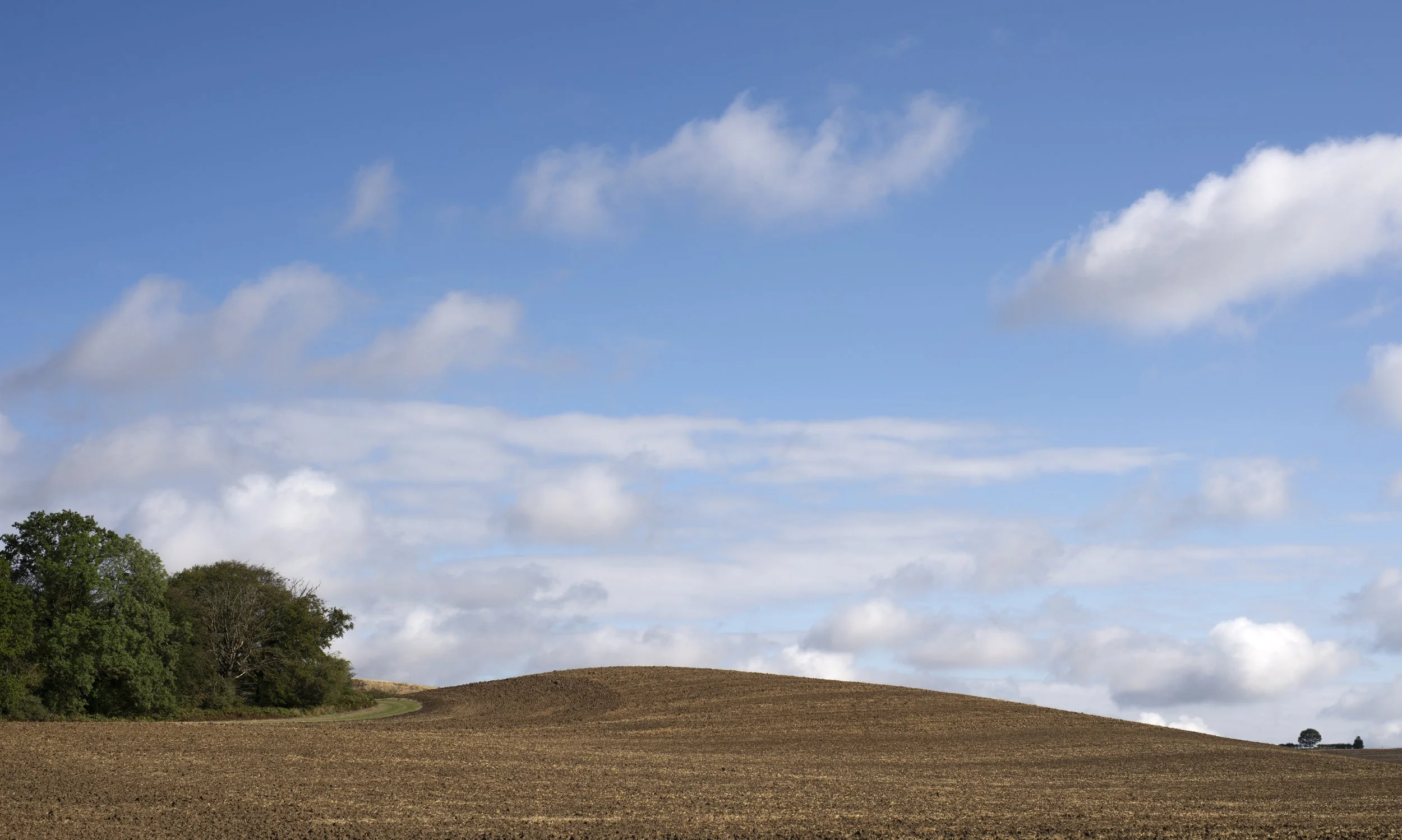 Rolling landscape