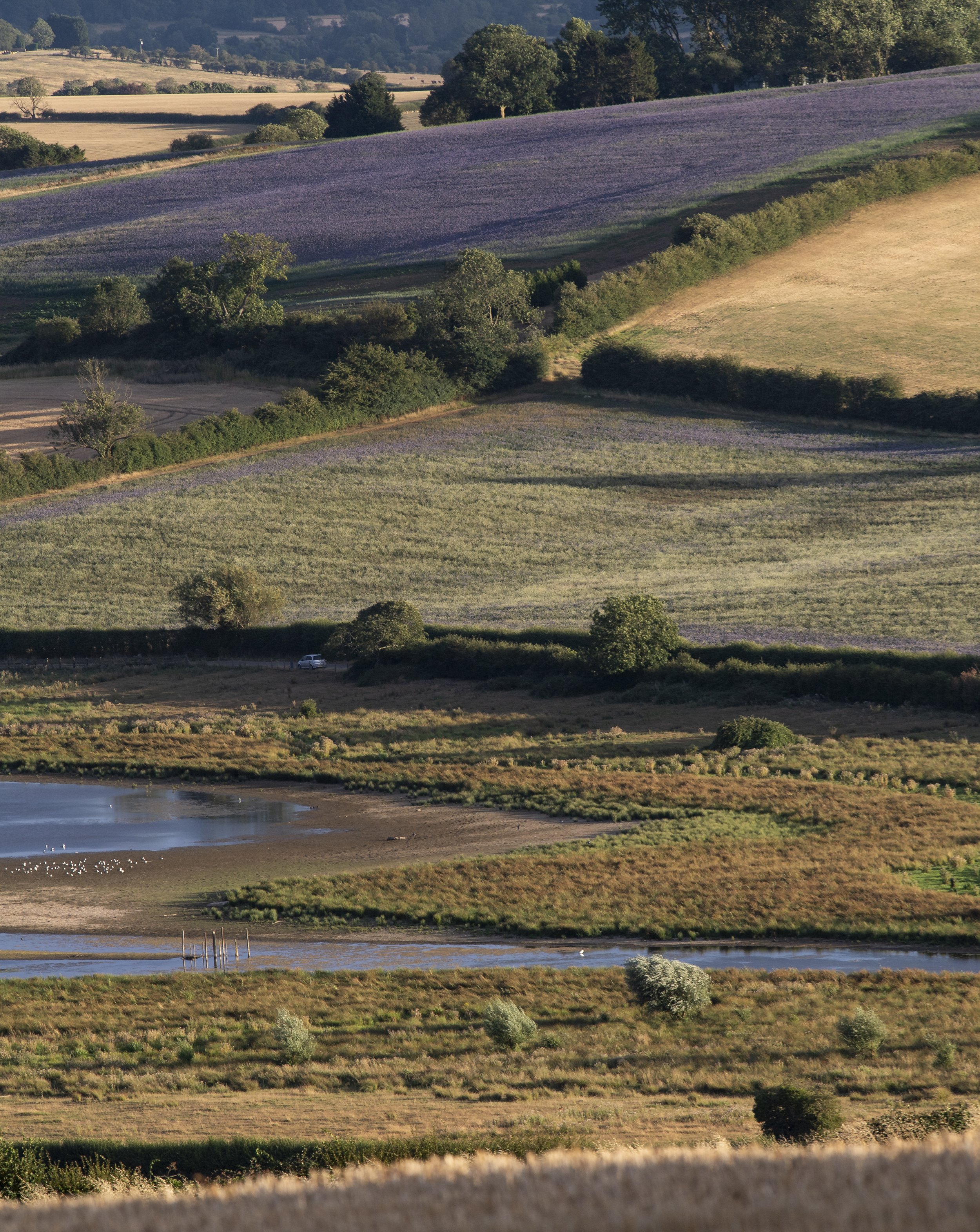 Fields surrounding Eyebrook Reservoir
