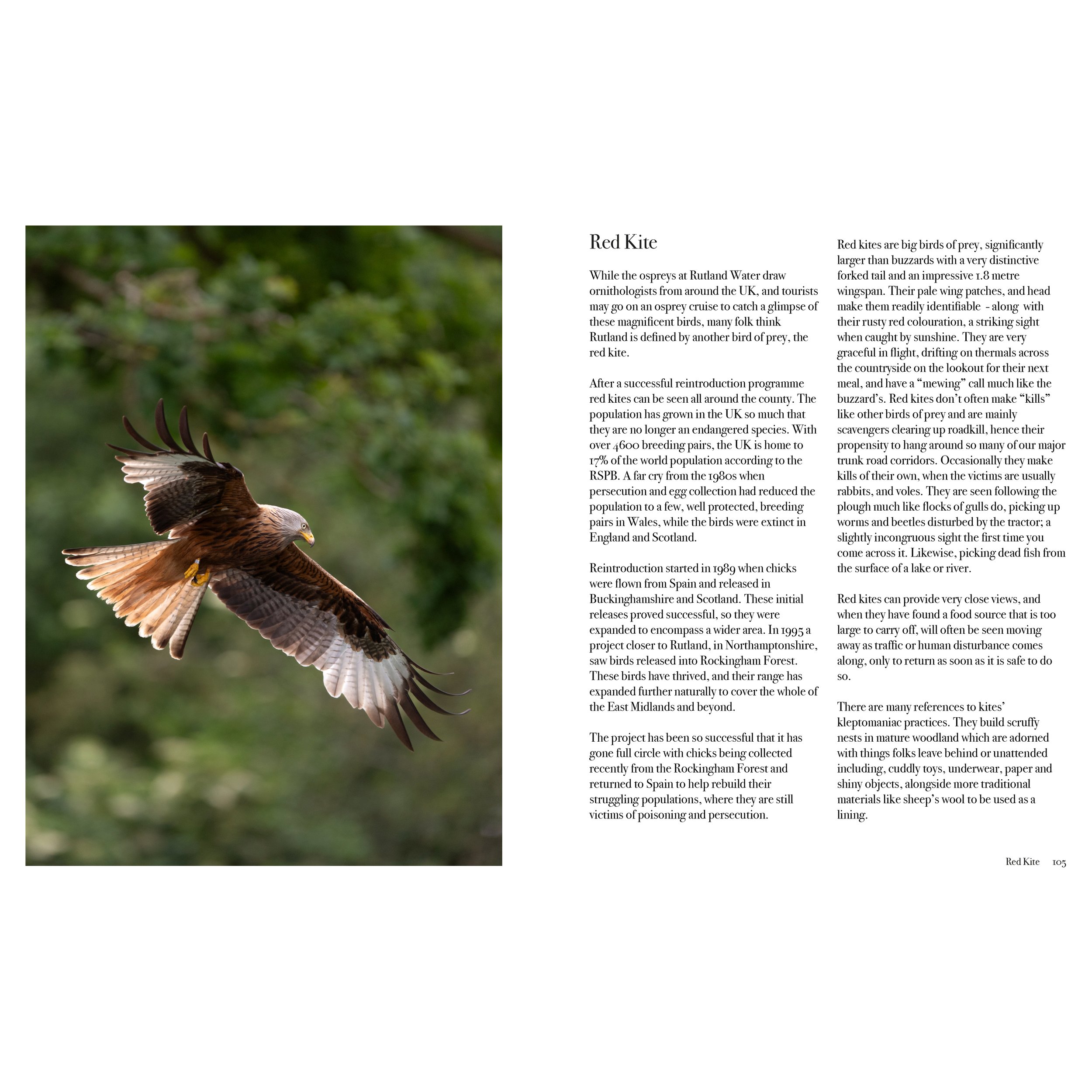 pages 3.jpg