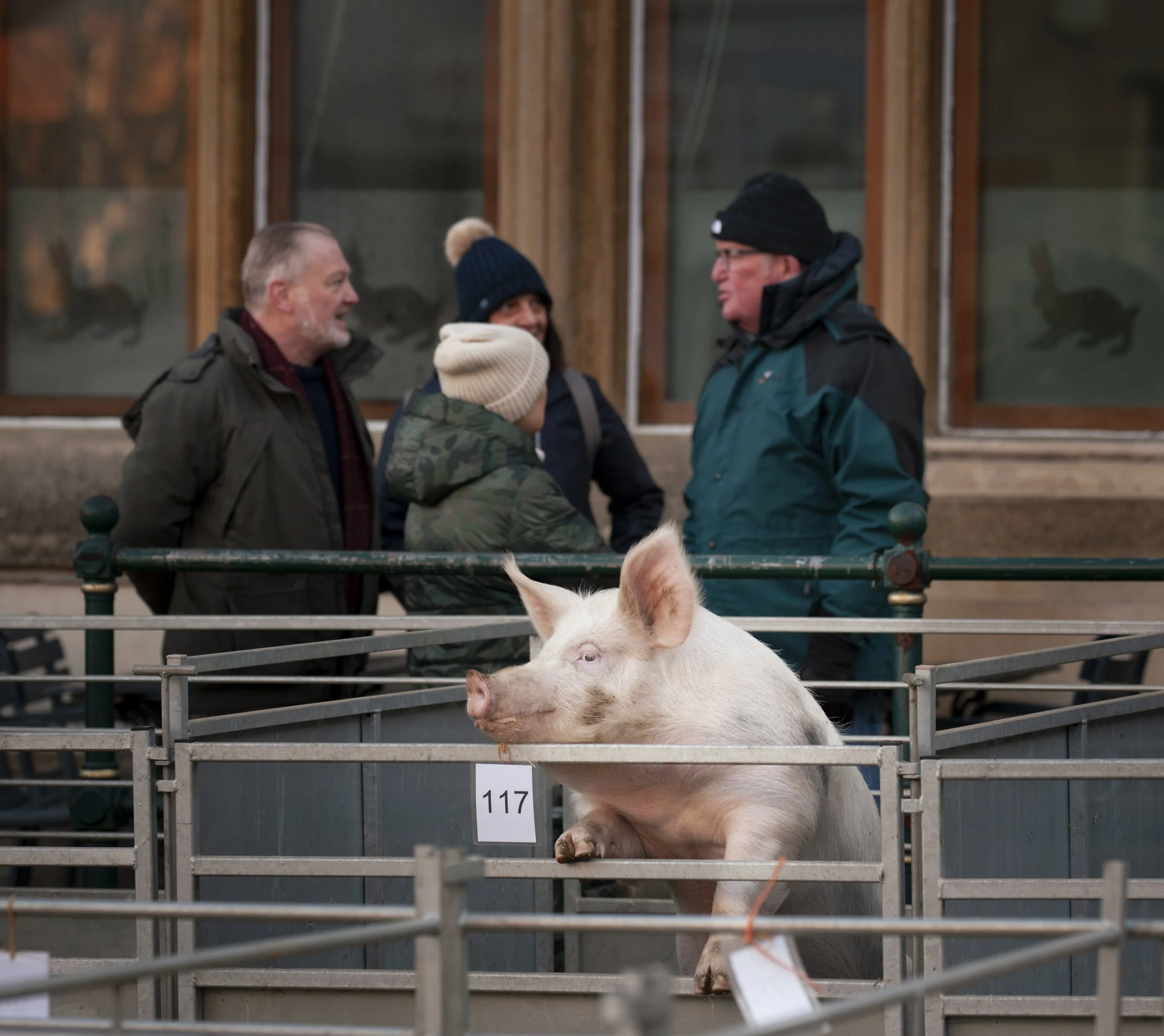 251126 Fatstock 005.jpg