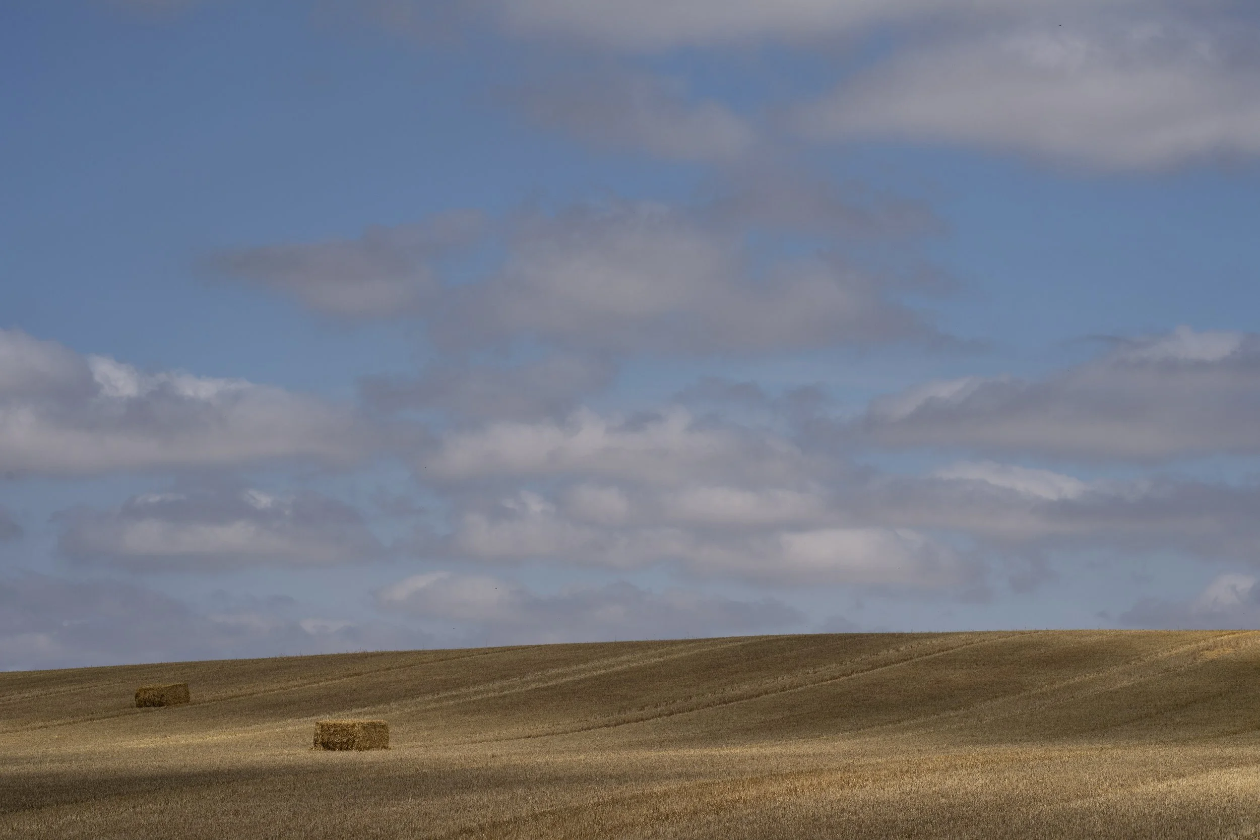 Hay bales in a field near Pickworth