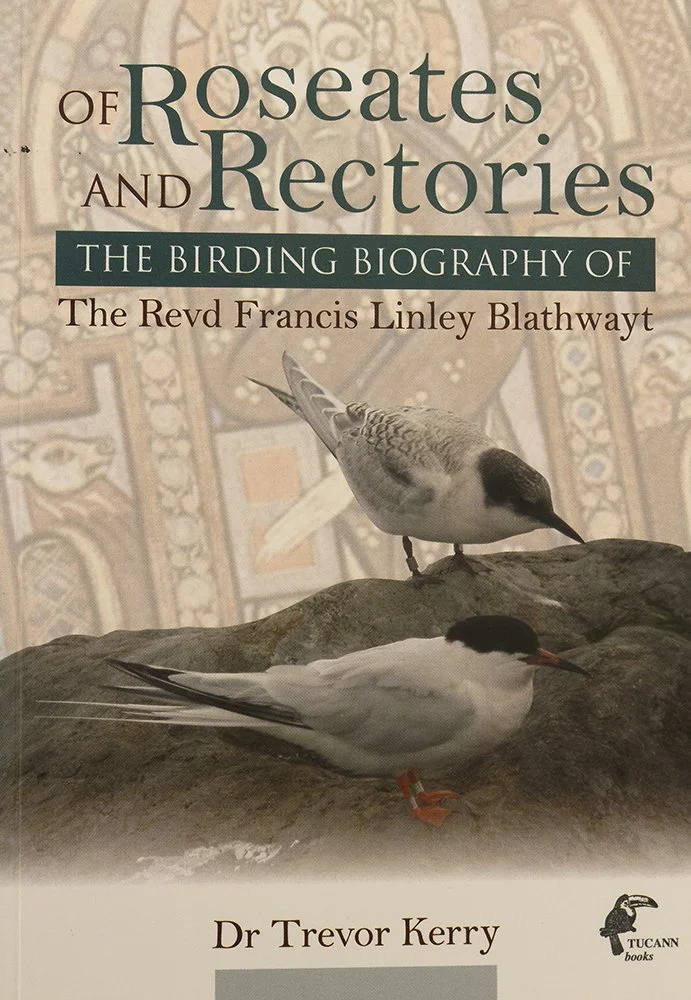 Roseates copy 3.jpg
