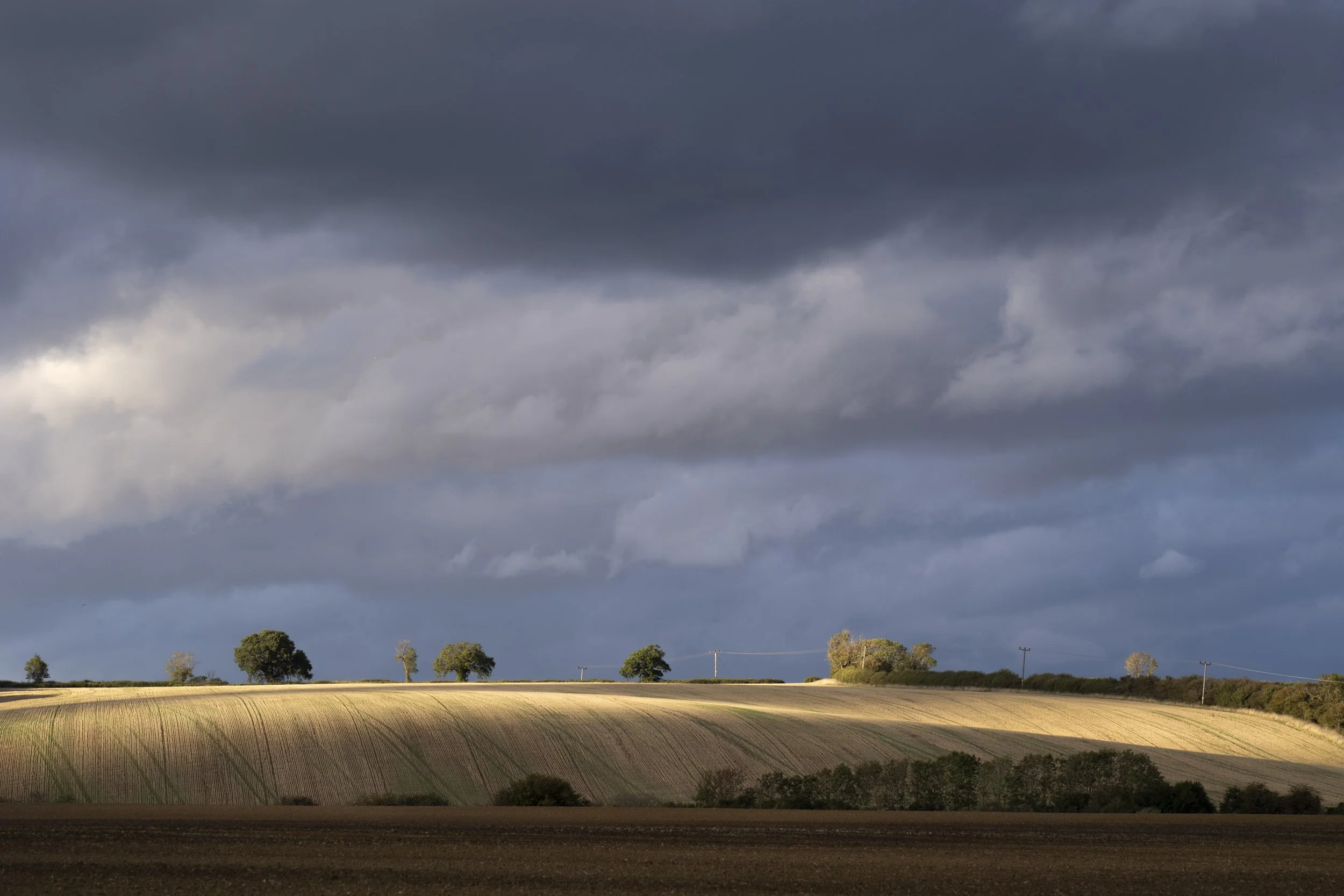 Evening sunlight catches the field patterns - Brooke