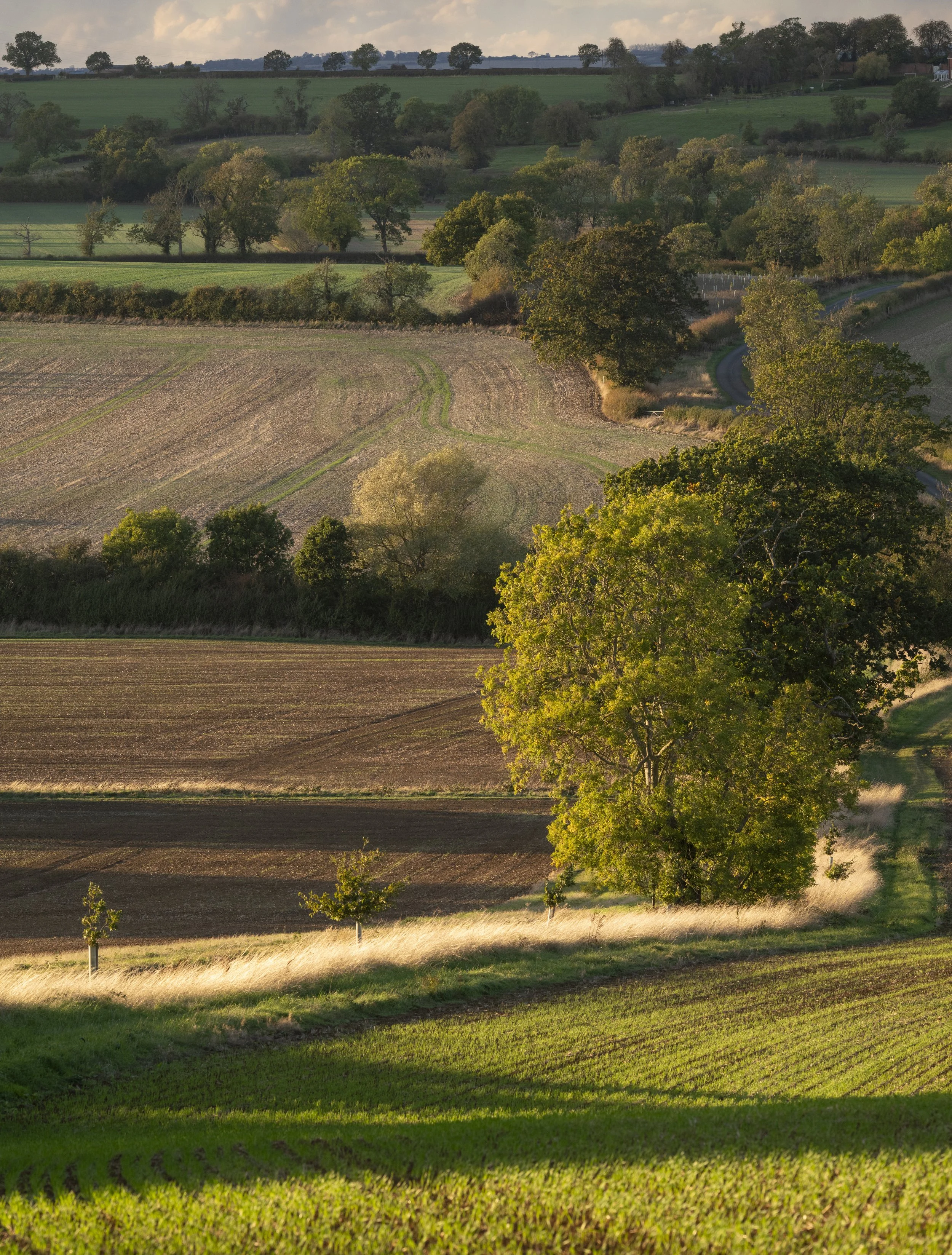Glaston 