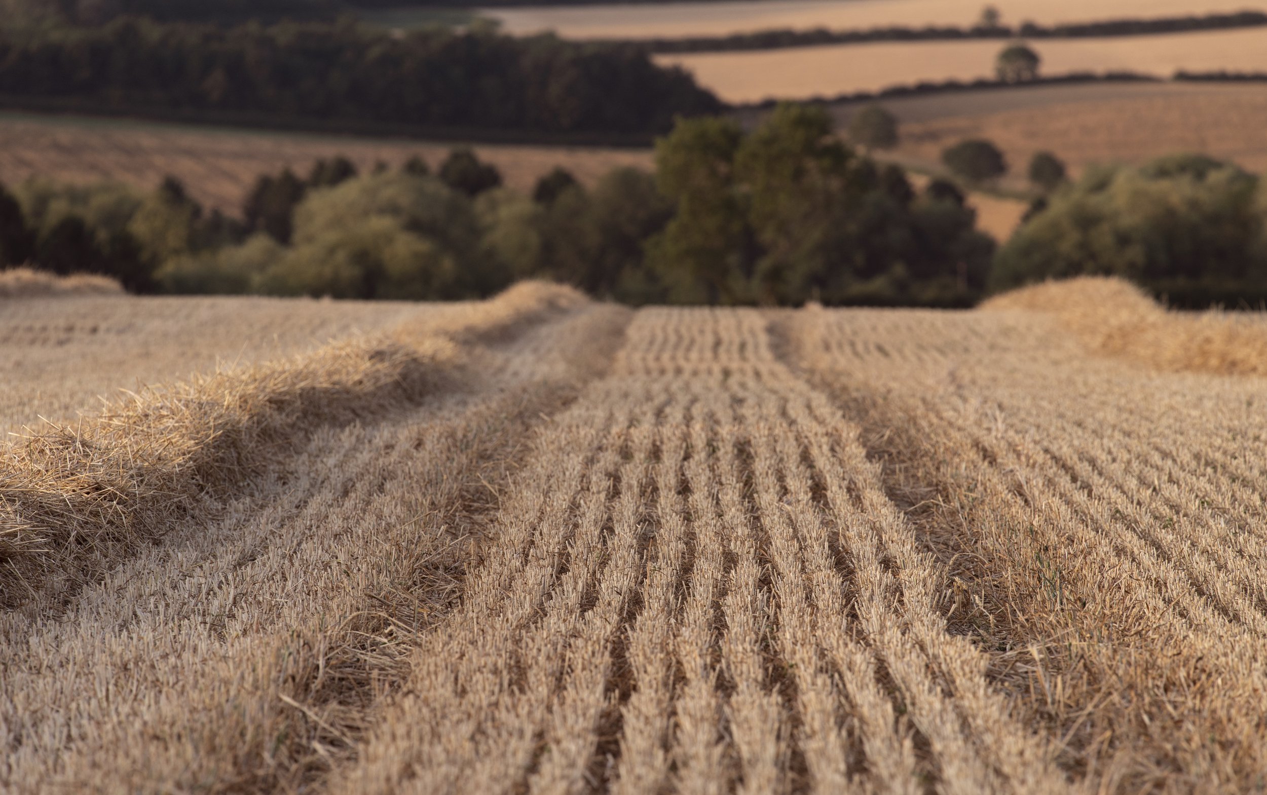 harvest patterns