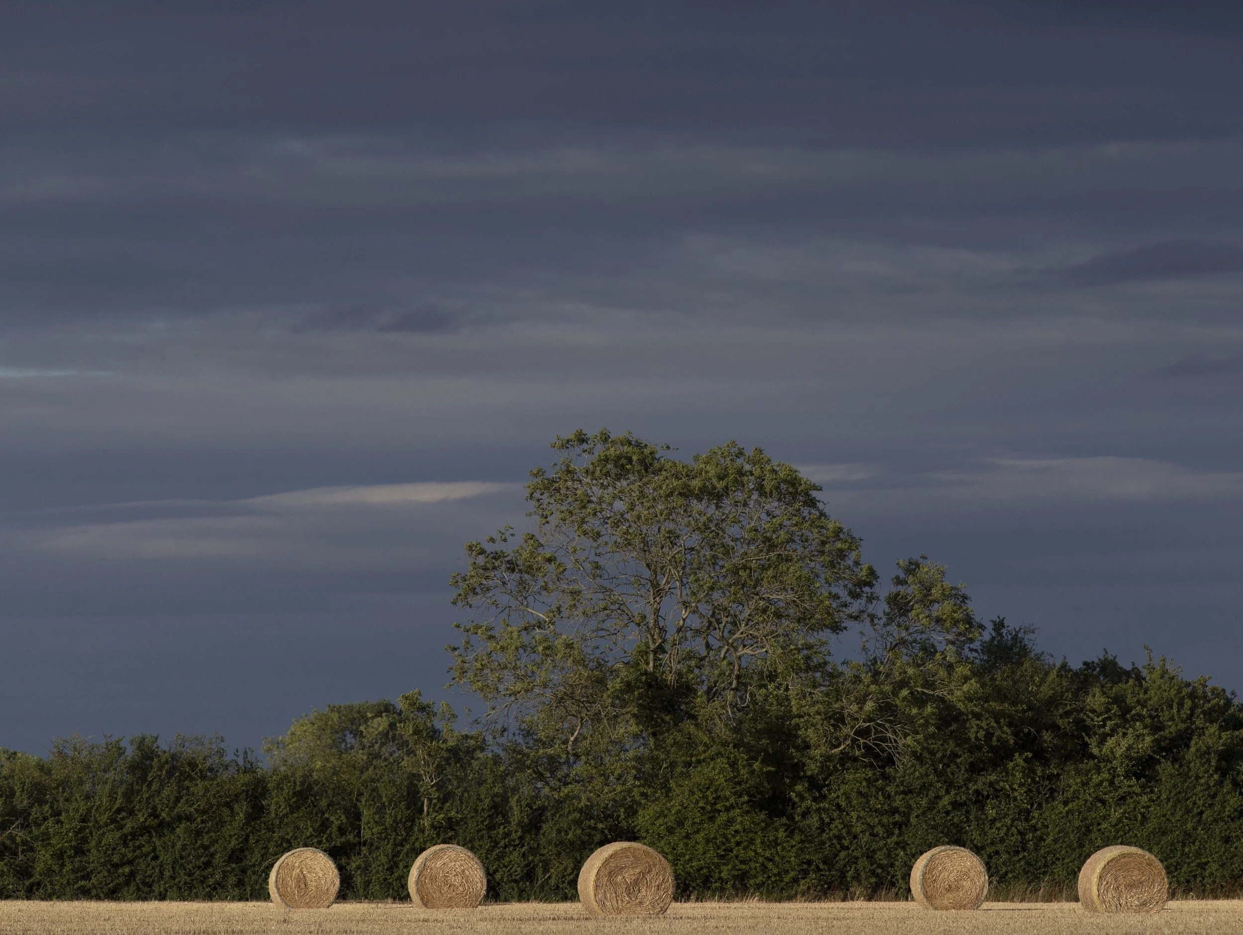 Hay bales catching the evening sunshine