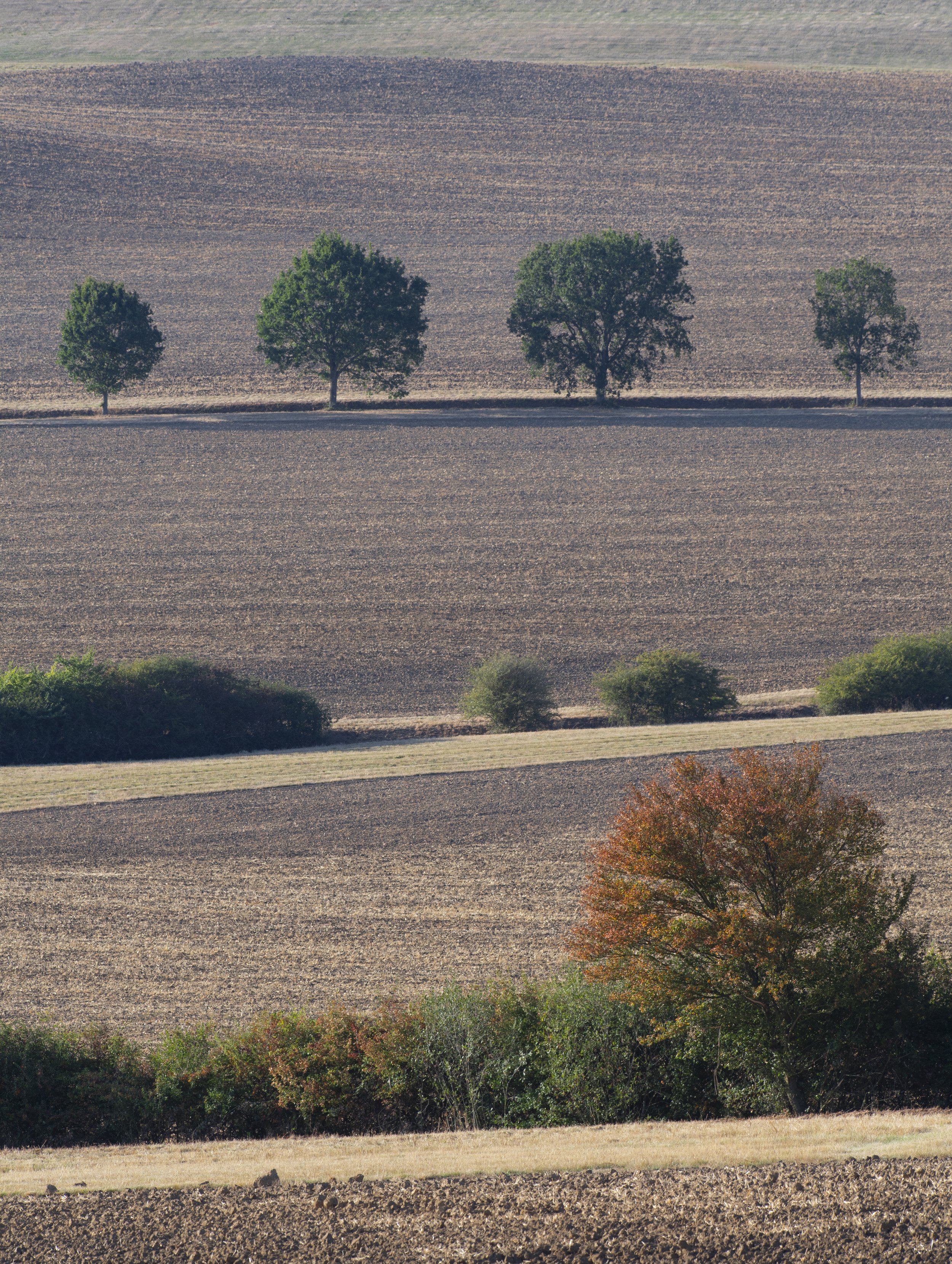 Belton-in-Rutland