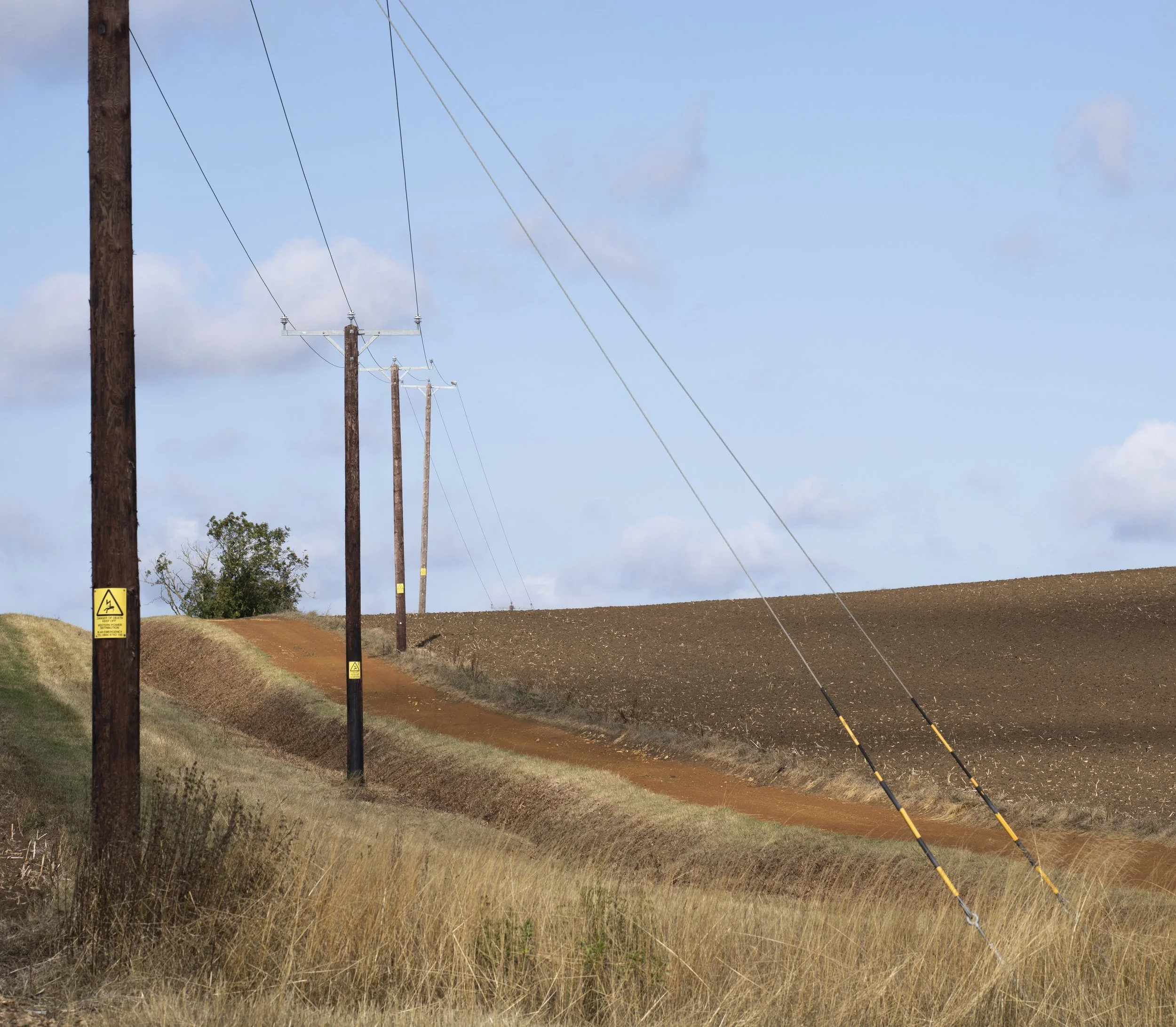 Electricity poles