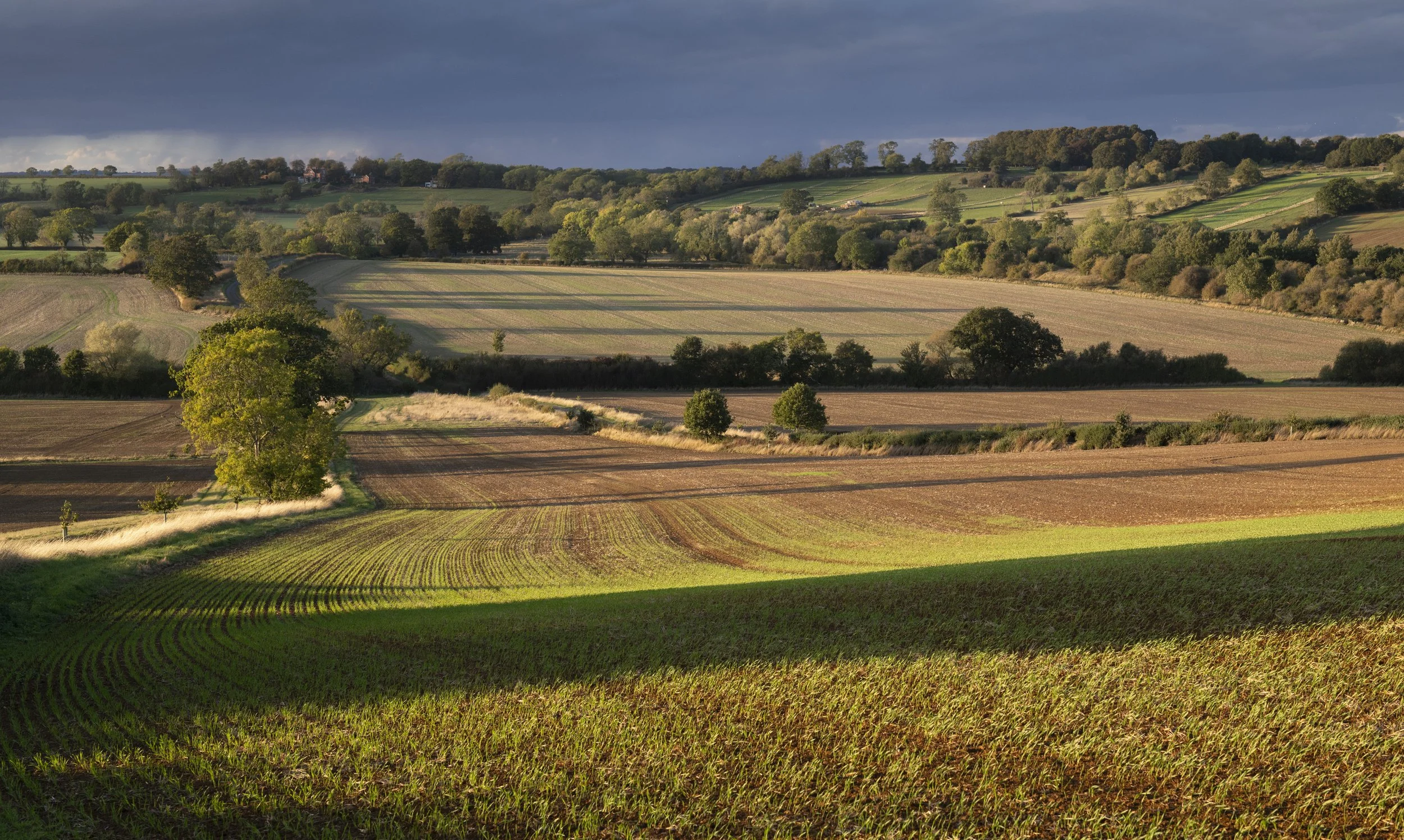 Glaston
