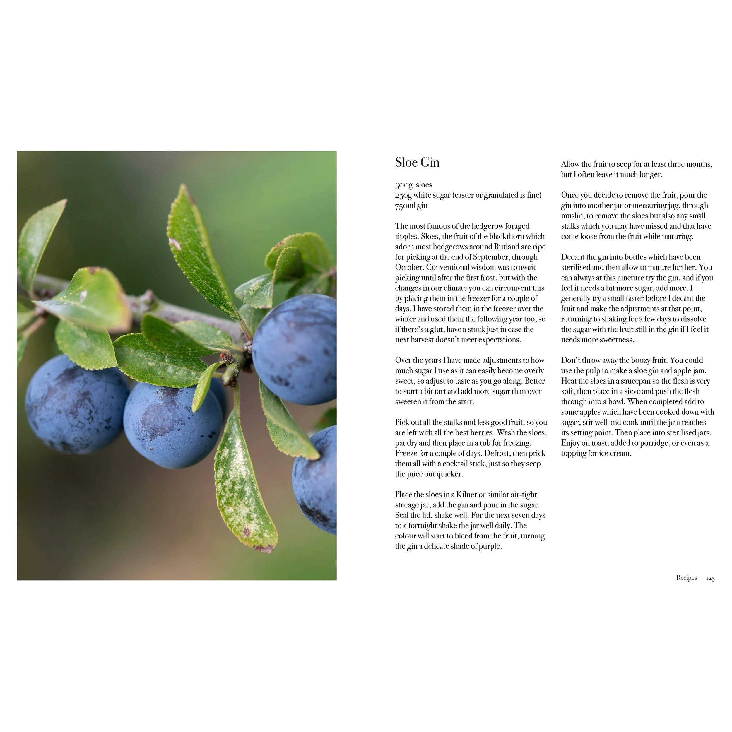 pages 4.jpg
