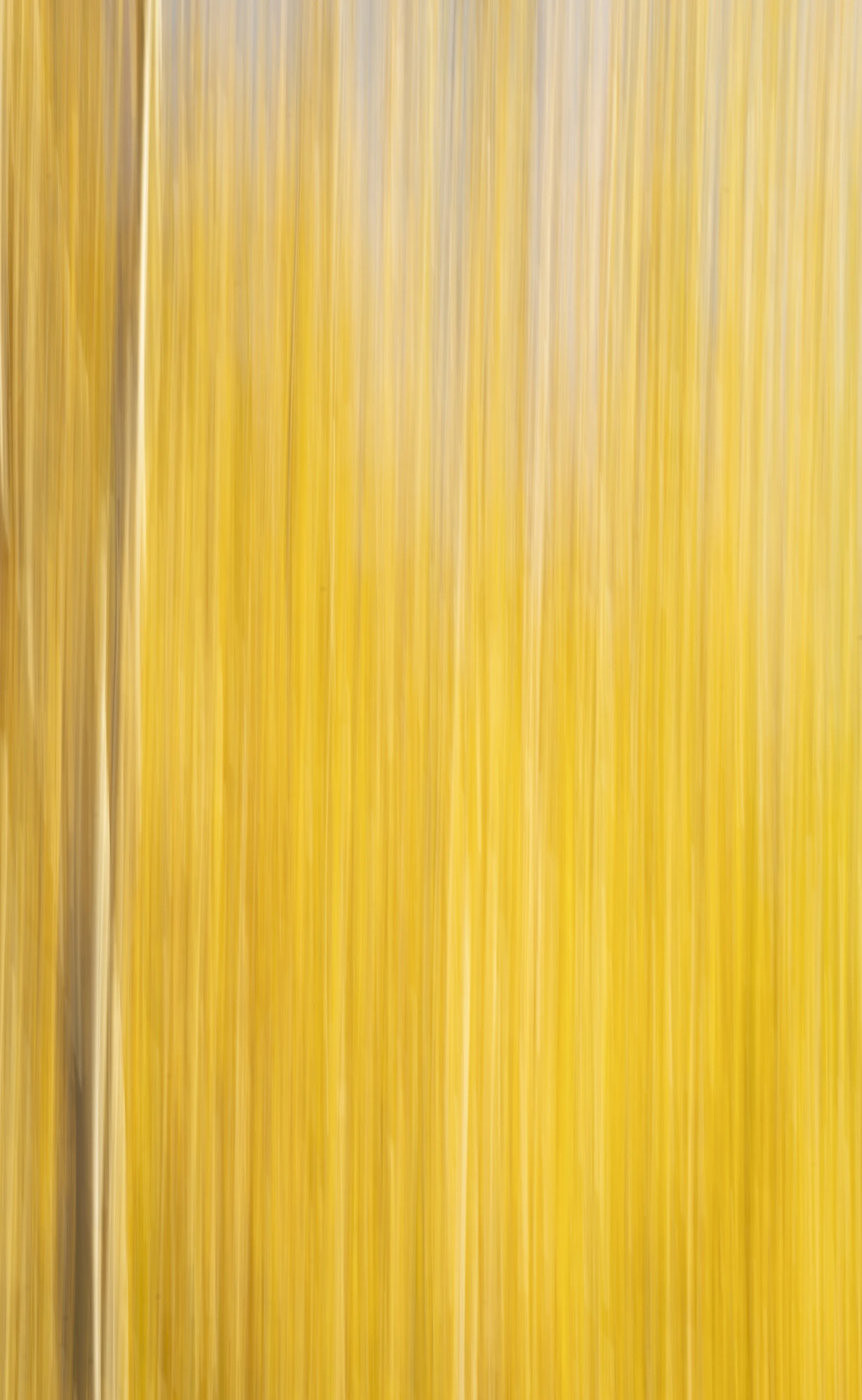 251016 010.jpg