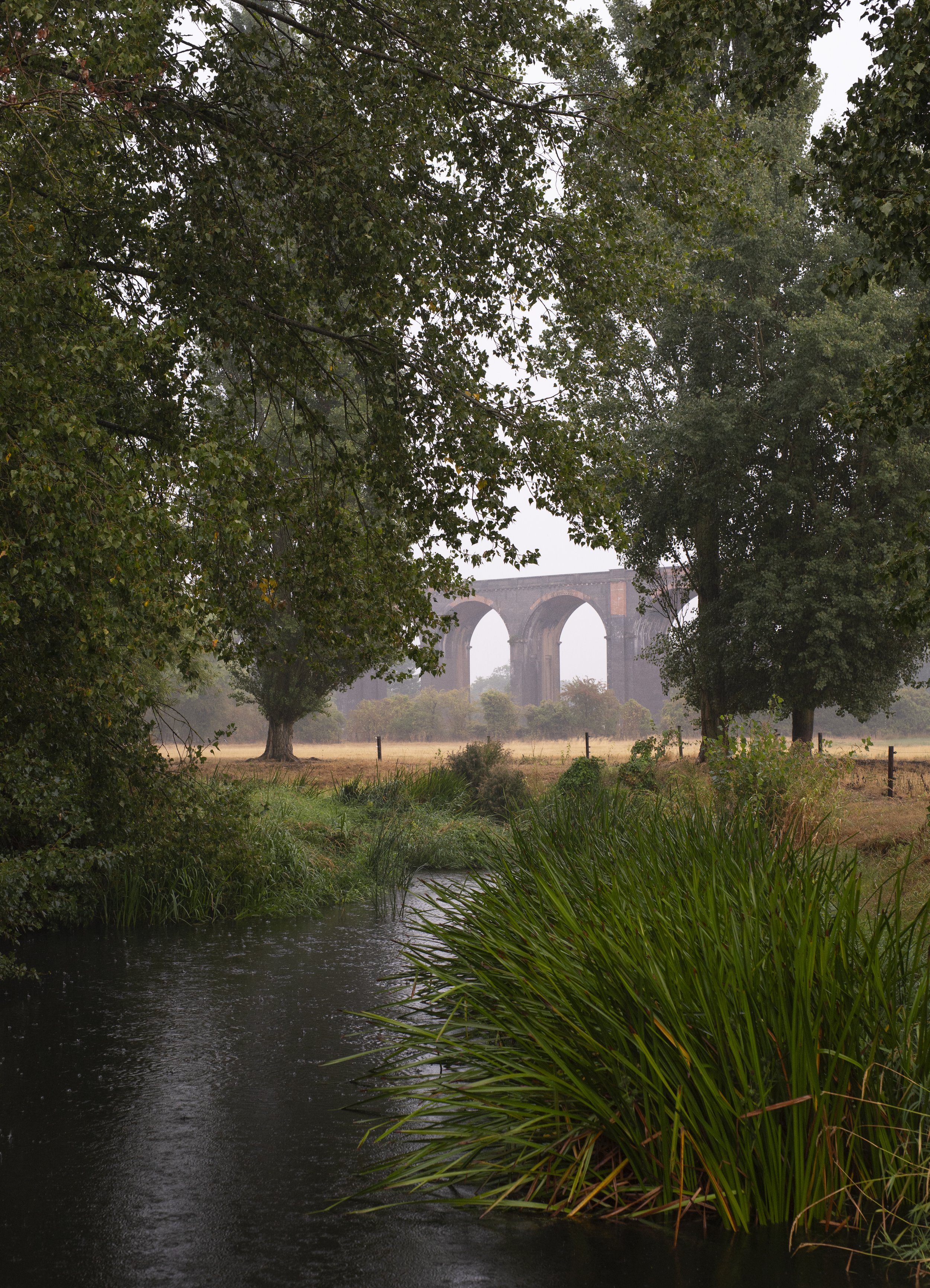 River Welland 