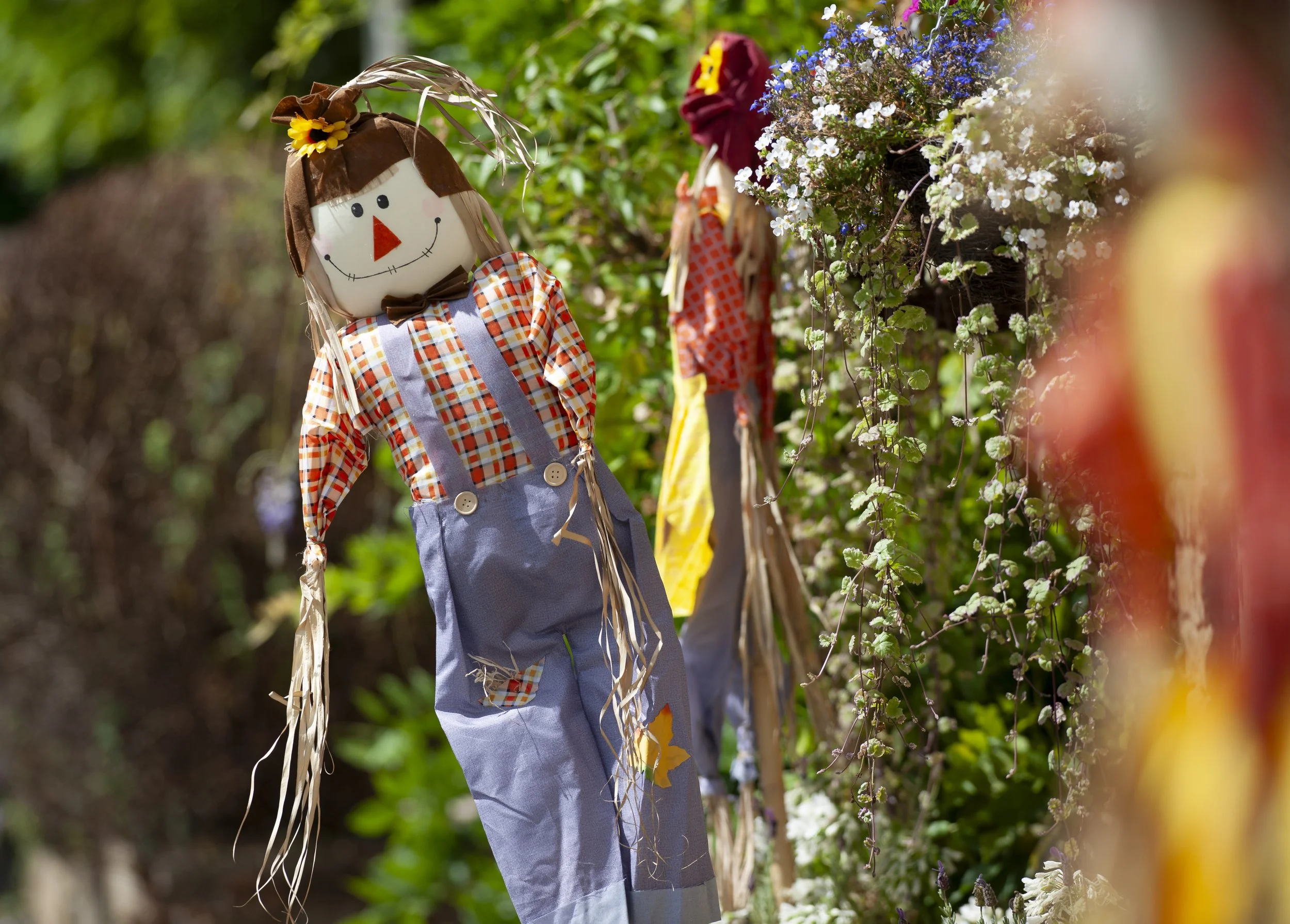 Seaton Scarecrows