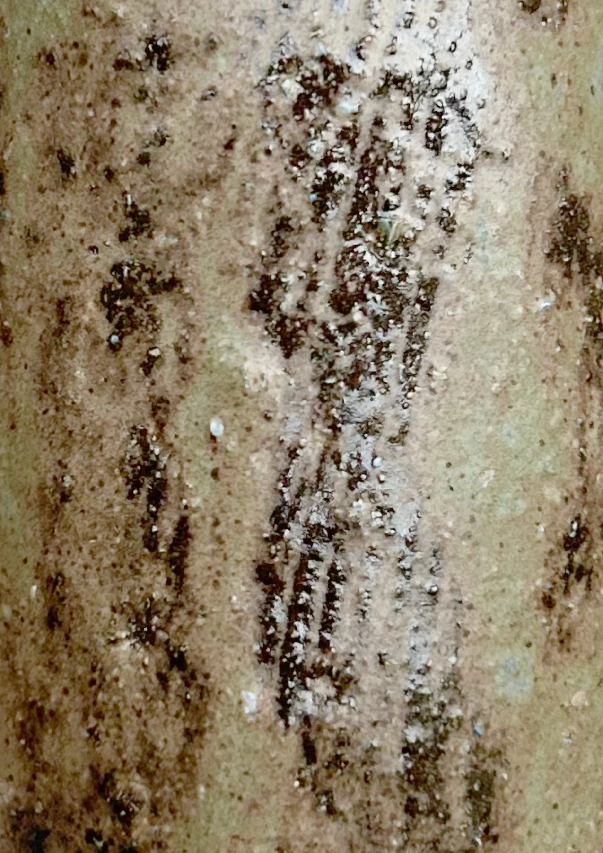 SQ_01_3.jpg