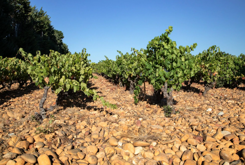 Côtes du Rhône