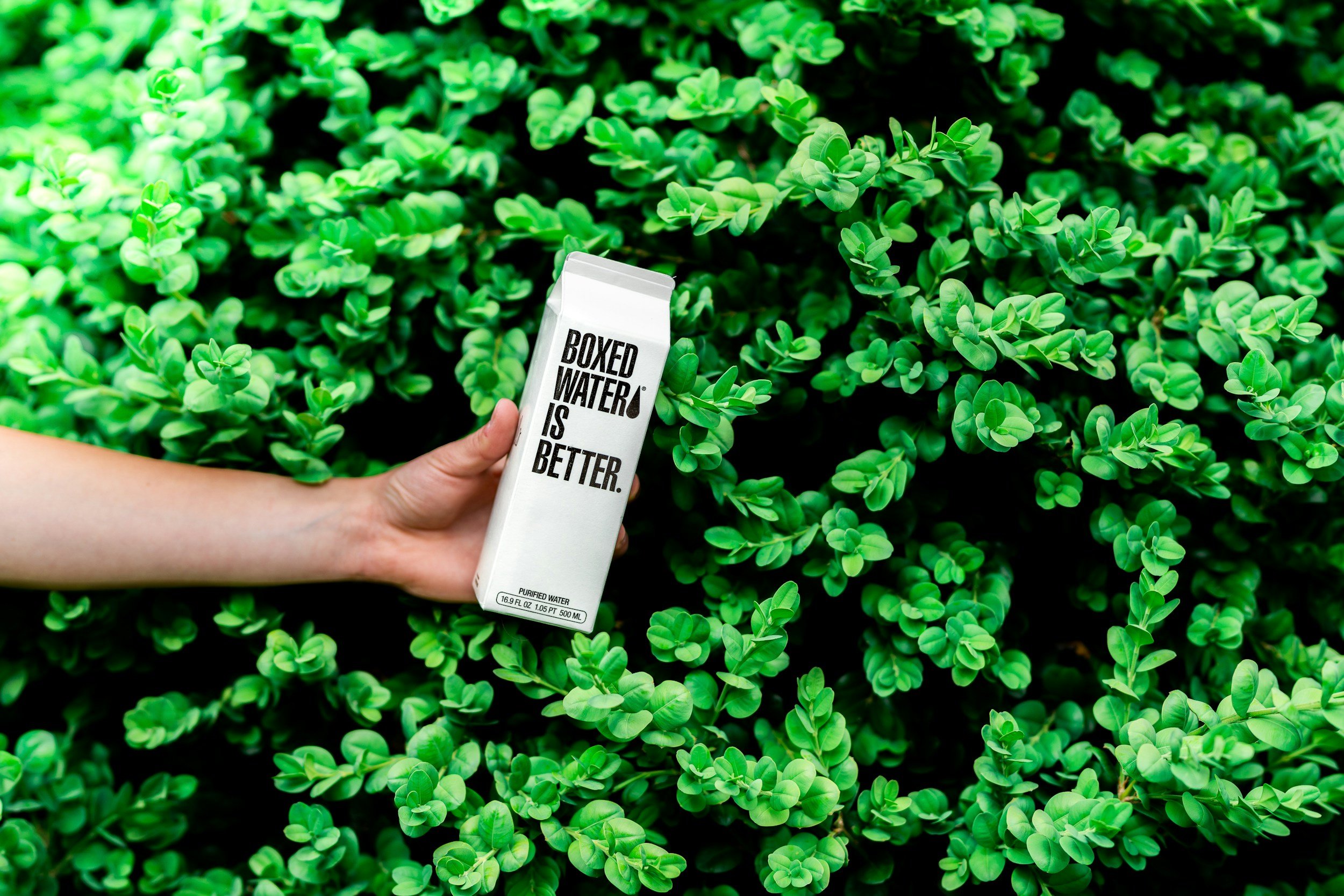 Hand holds a carton of bottled water with the message "Boxed Water Is Better" over lush, green shrubbery.
