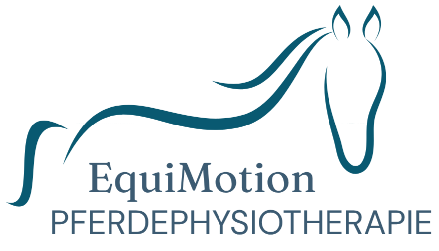 EquiMotion Pferdephysio 