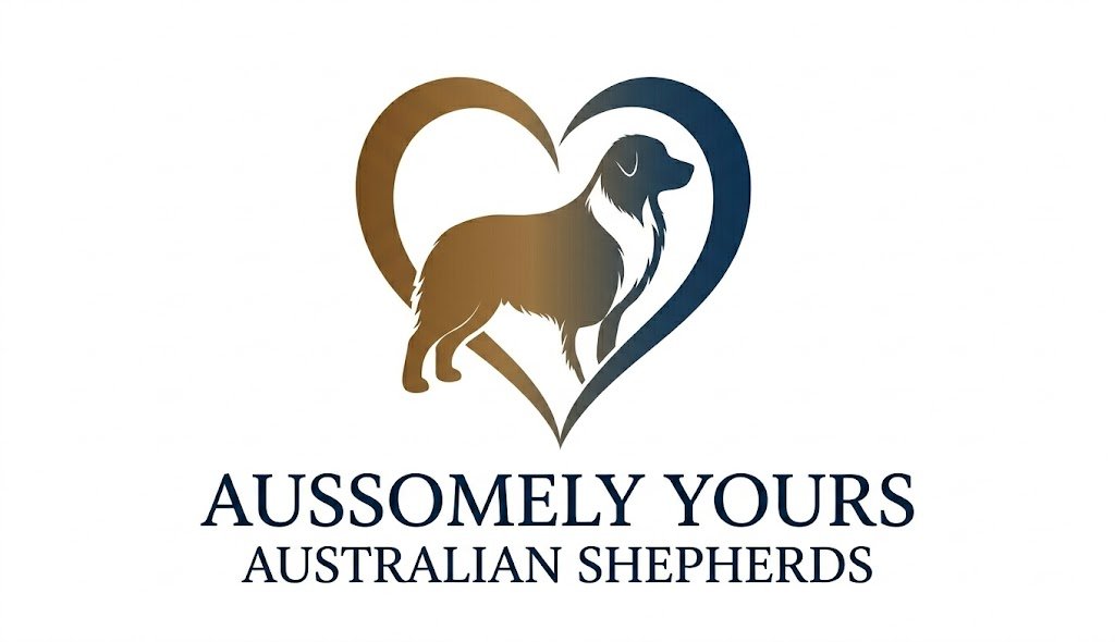 Aussomely Yours Australian Shepherds