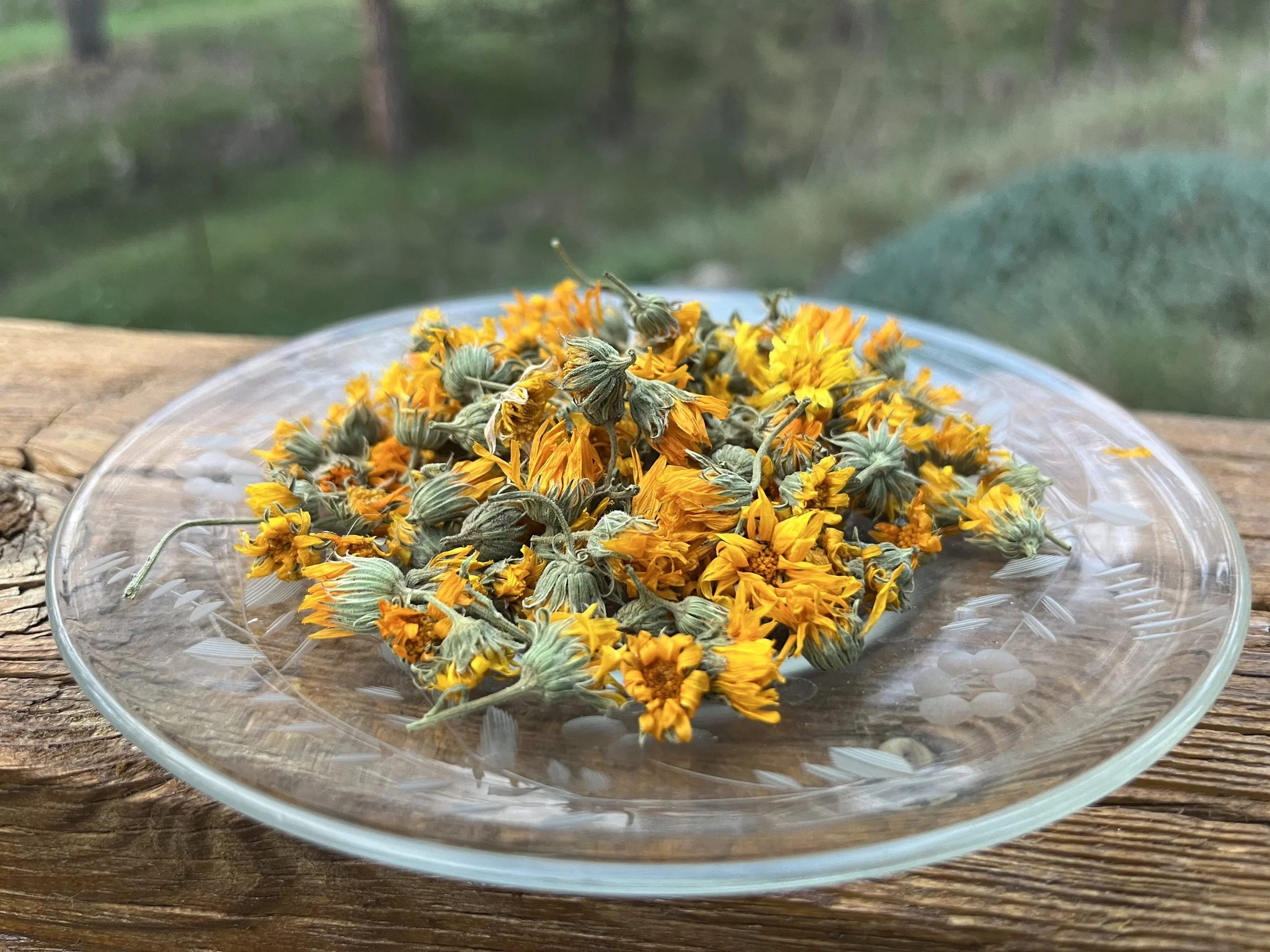 Dried Calendula