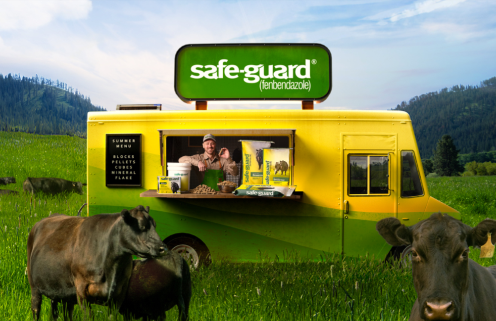 SafeGuard