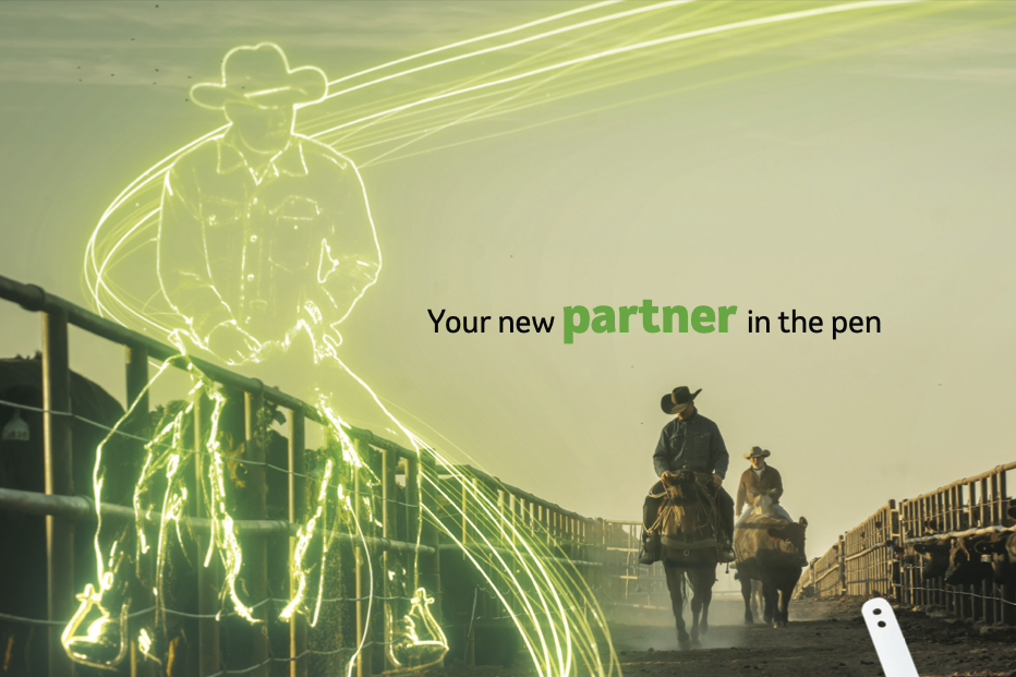 SenseHub Feedlot