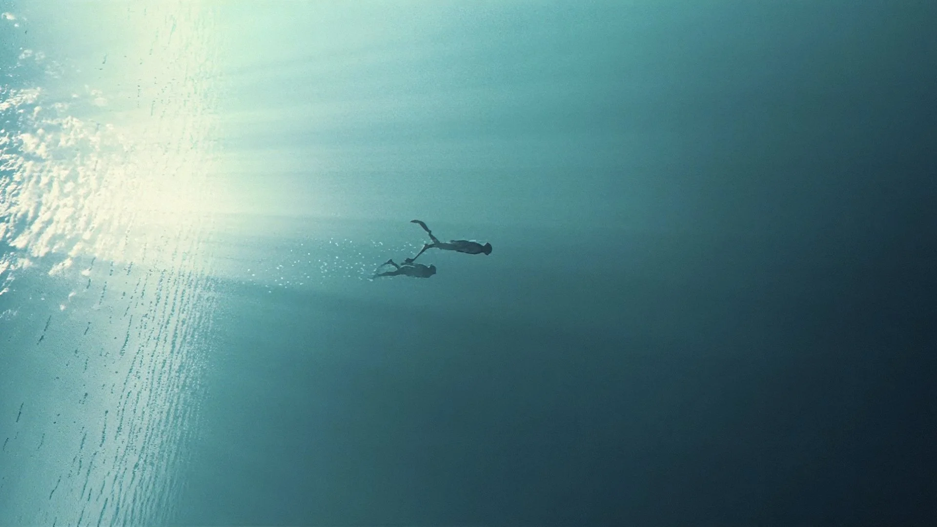 Two dolphins jumping out of the water in the ocean during sunset or sunrise.