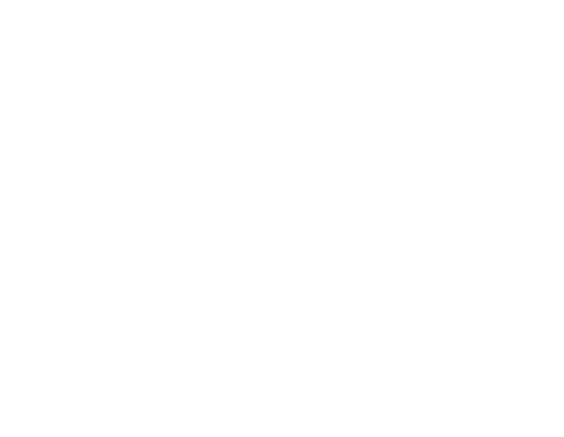 Weiße, stilisierte Blumen und Pflanzen auf schwarzem Hintergrund