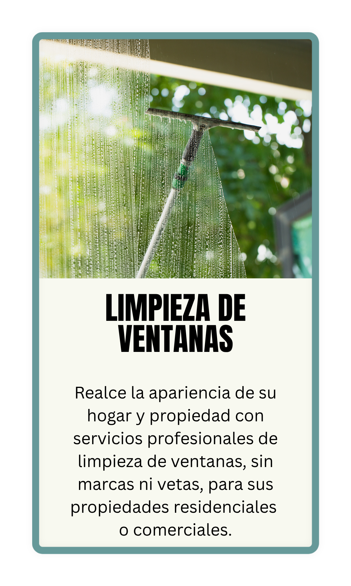 Window Cleaning.png