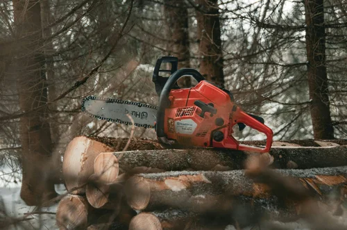 Hand cutting timber with a chainsaw