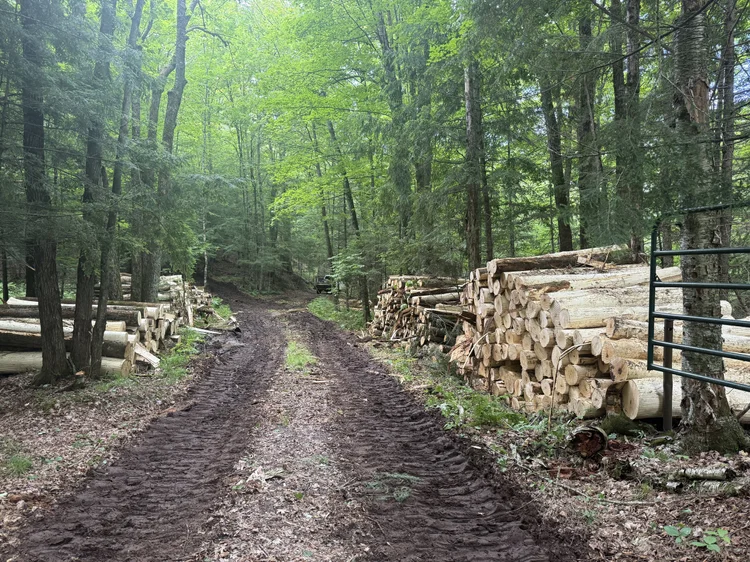 Growing the Foster logging operation