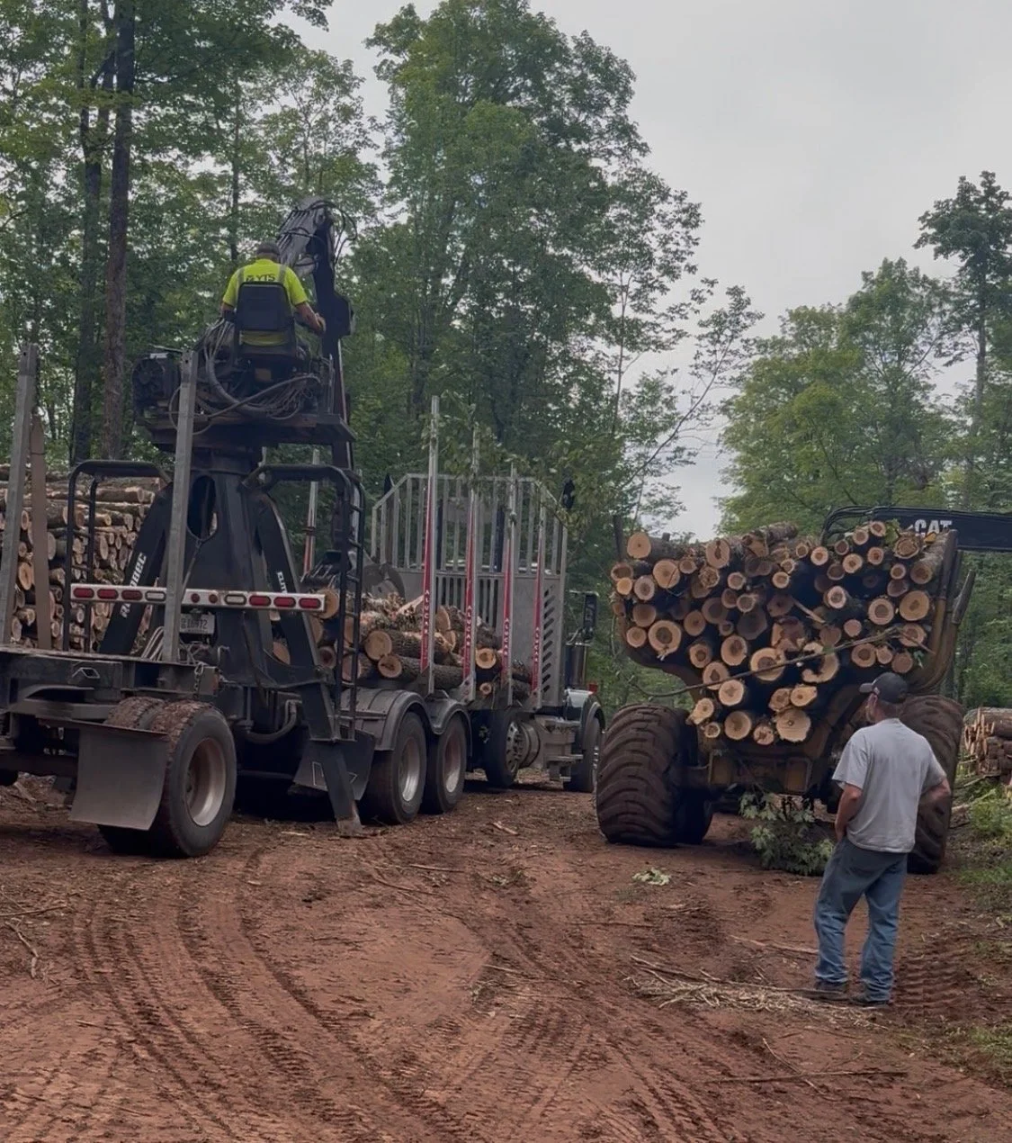 Foster Land and Timber logging equipment and crew