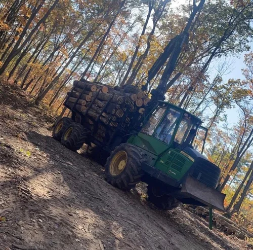 Foster forestry operations in the woods