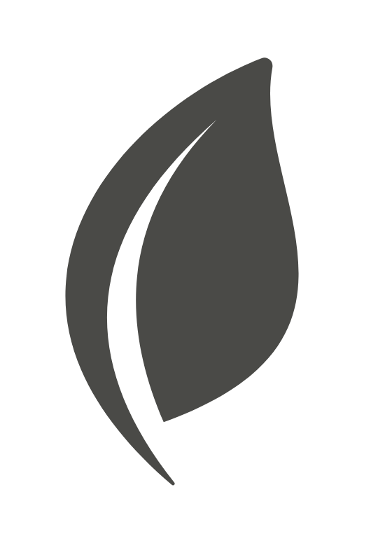 trauma-informed-coaching-packages-for-women-trauma-informed-life-coaching-packages-curate-coaching-canada