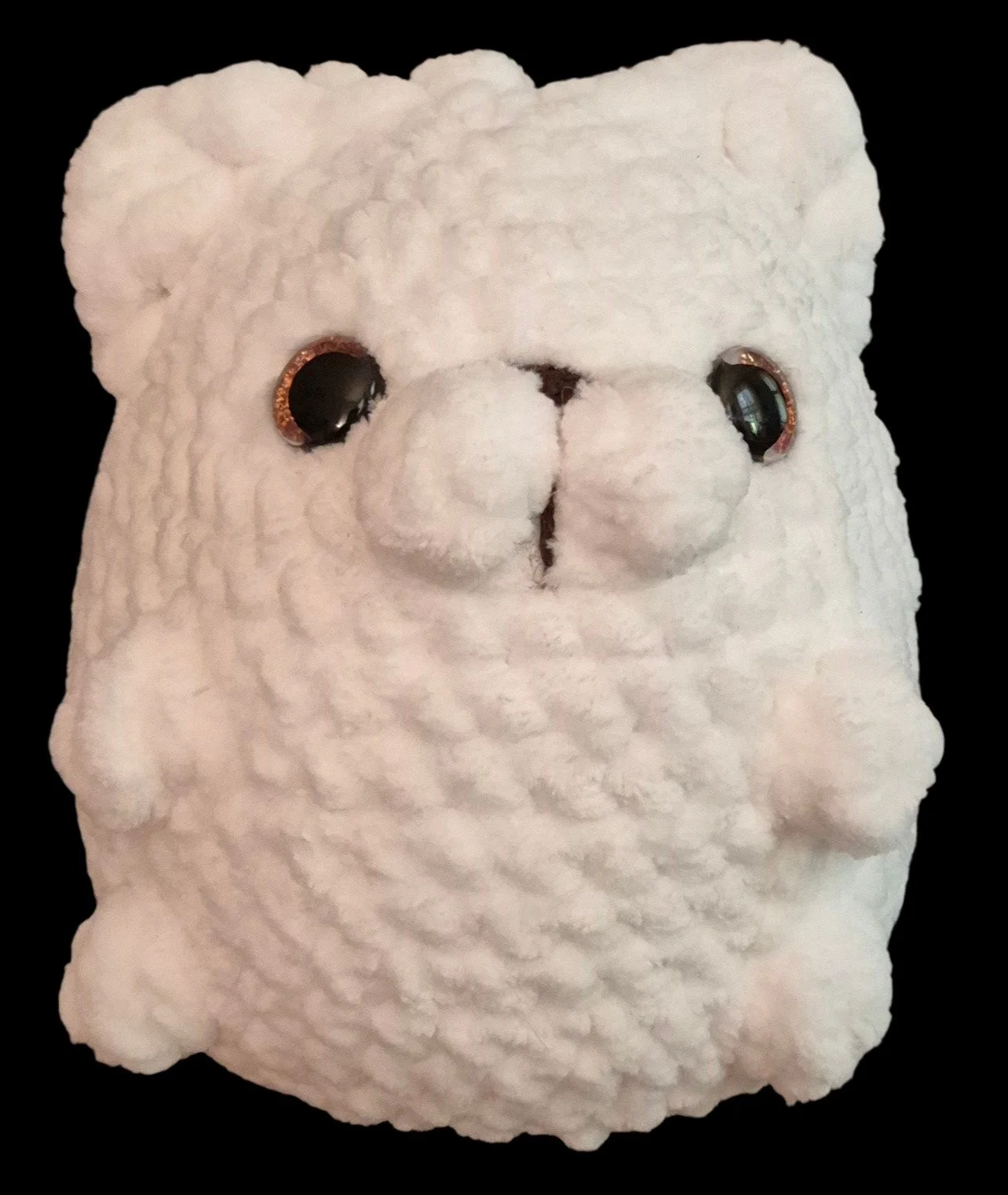 snow the chubby cat (front).jpg