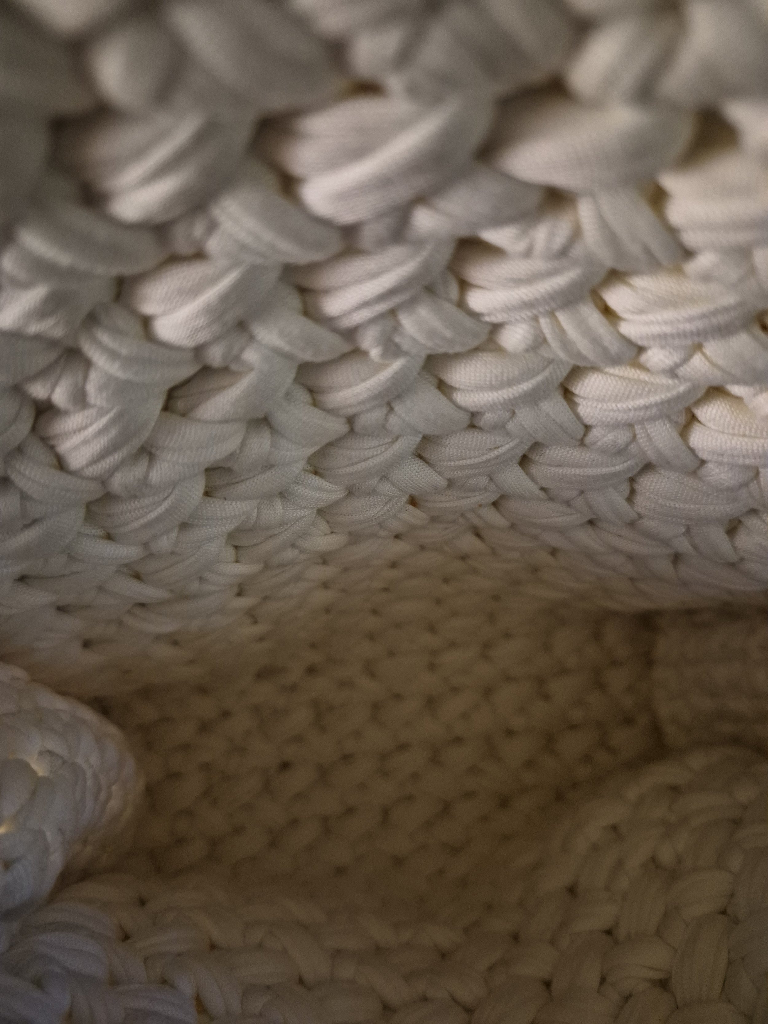 almost designer handbag (inside view).jpg