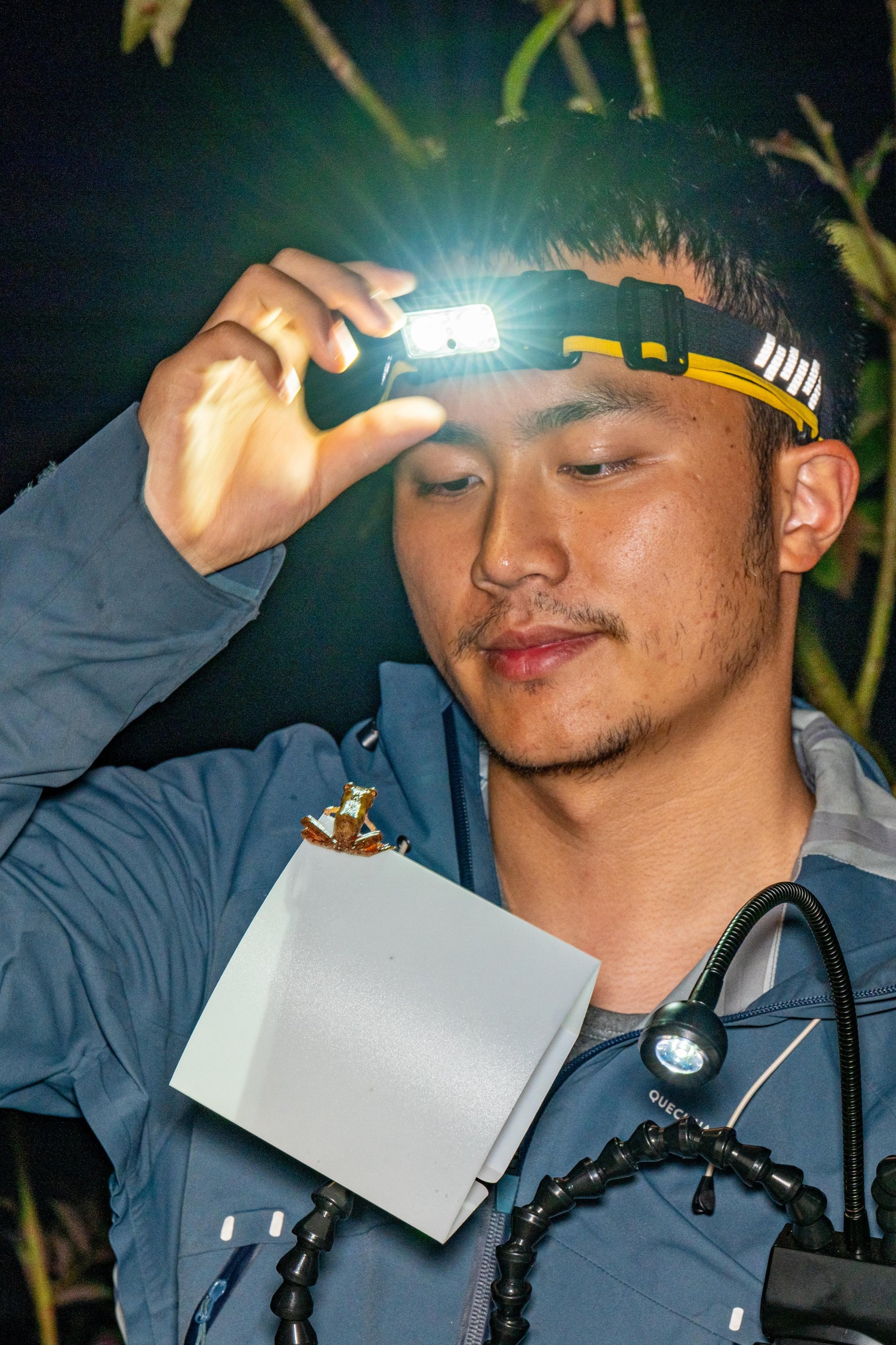 A young man wearing a headlamp and gray jacket examining something with close-up cameras, and holding a box, possibly in a nature or nighttime setting.