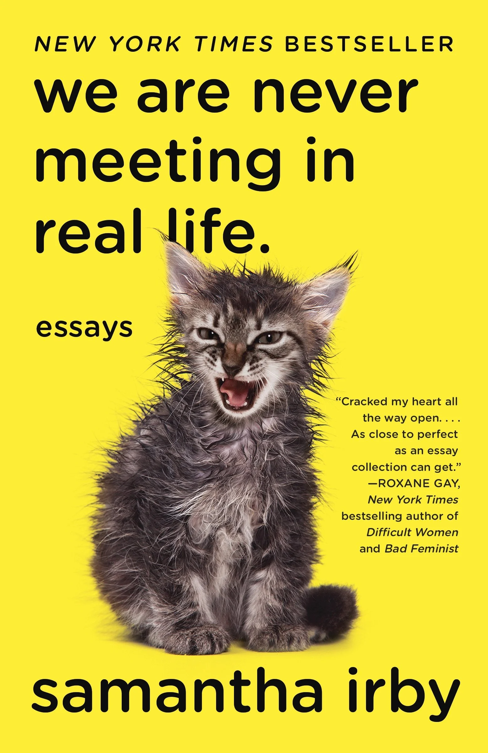 We Are Never Meeting in Real Life by Samantha Irby 